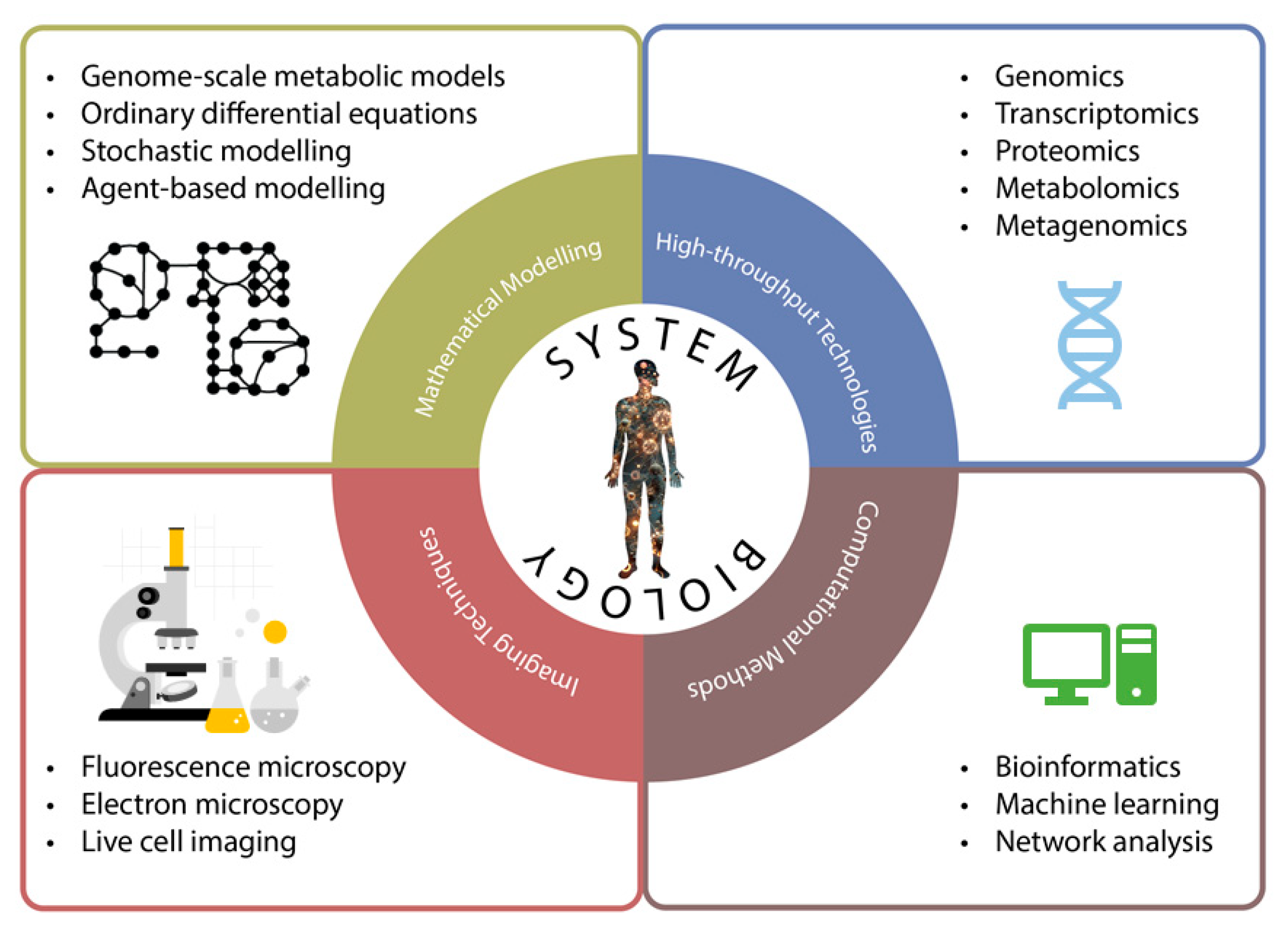 Ijms 26 08527 g003 Ijms 26 08527 g003