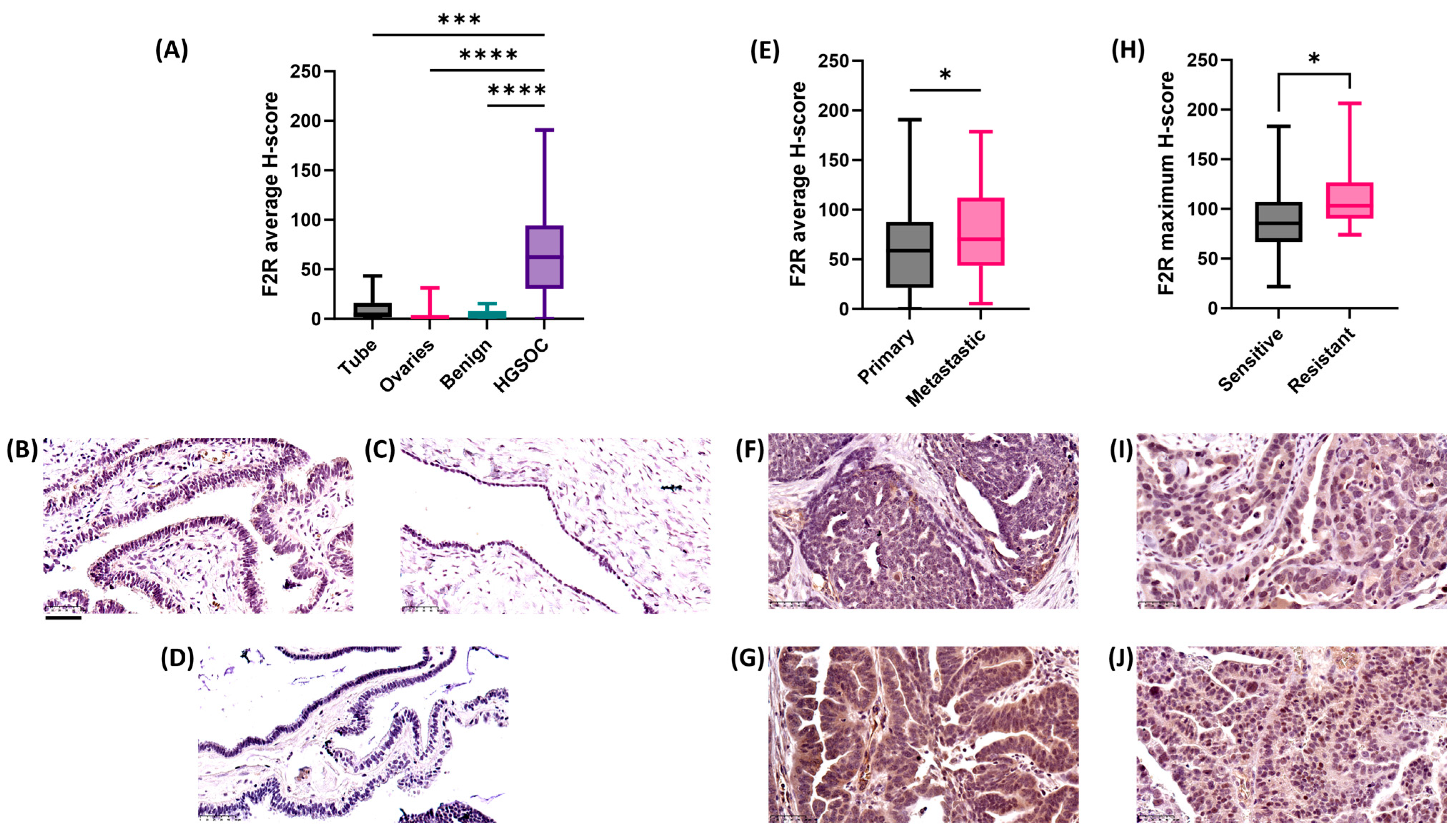 Ijms 26 08529 g003 Ijms 26 08529 g003