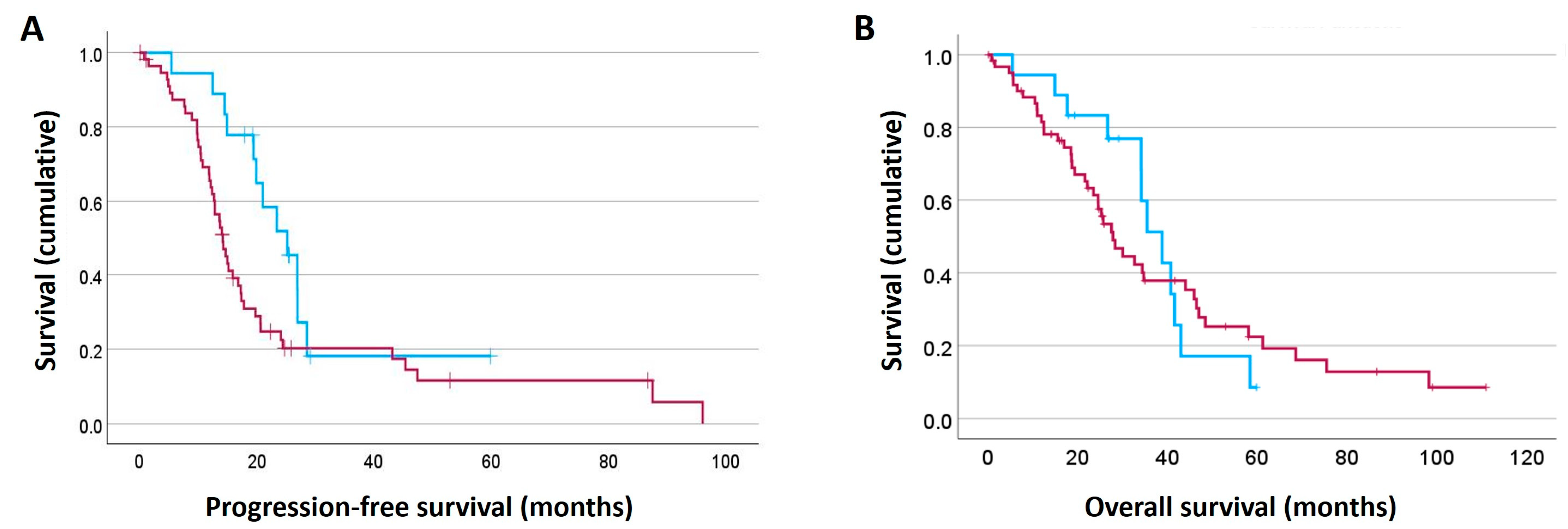 Ijms 26 08529 g004 Ijms 26 08529 g004