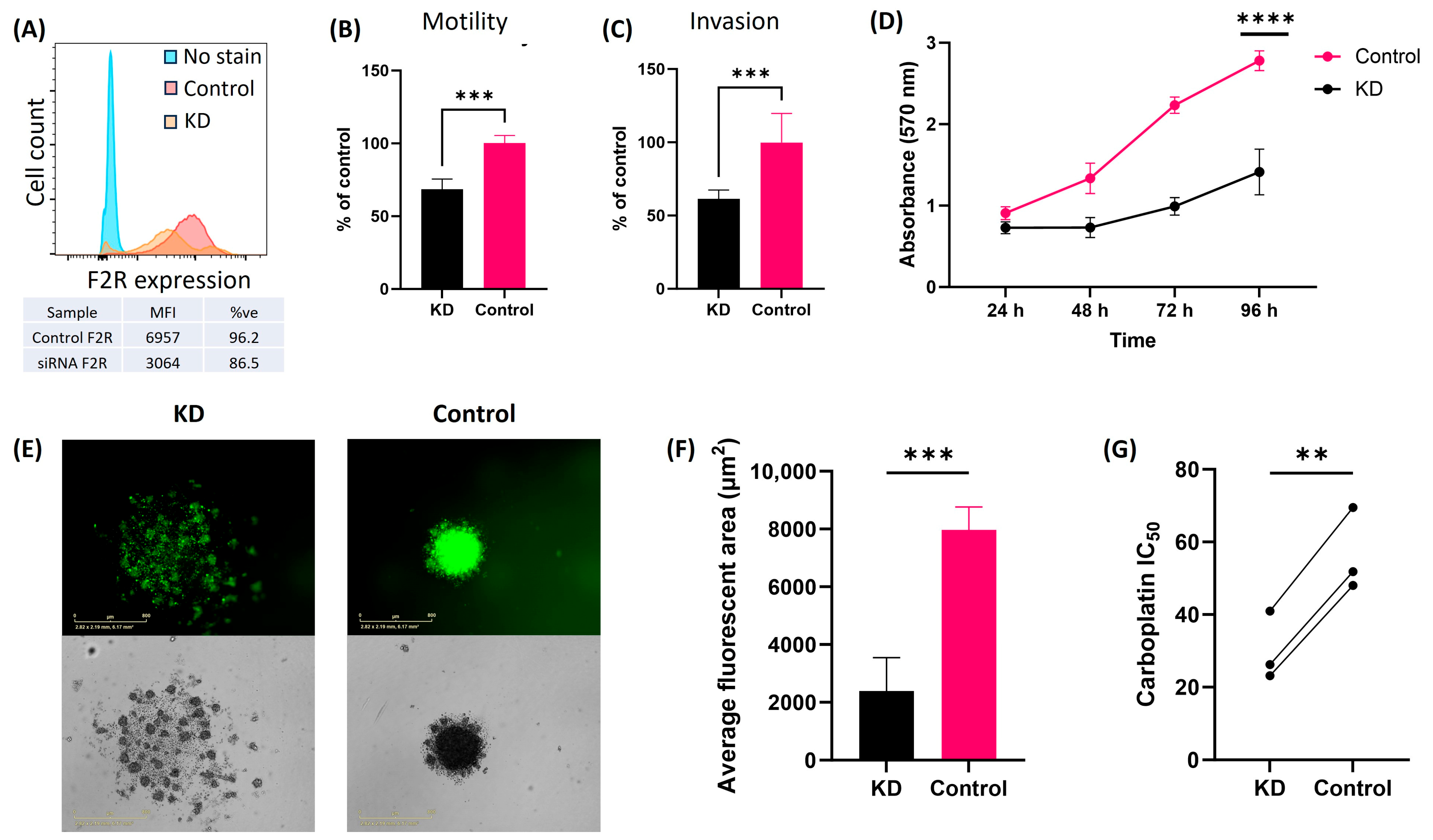 Ijms 26 08529 g005 Ijms 26 08529 g005