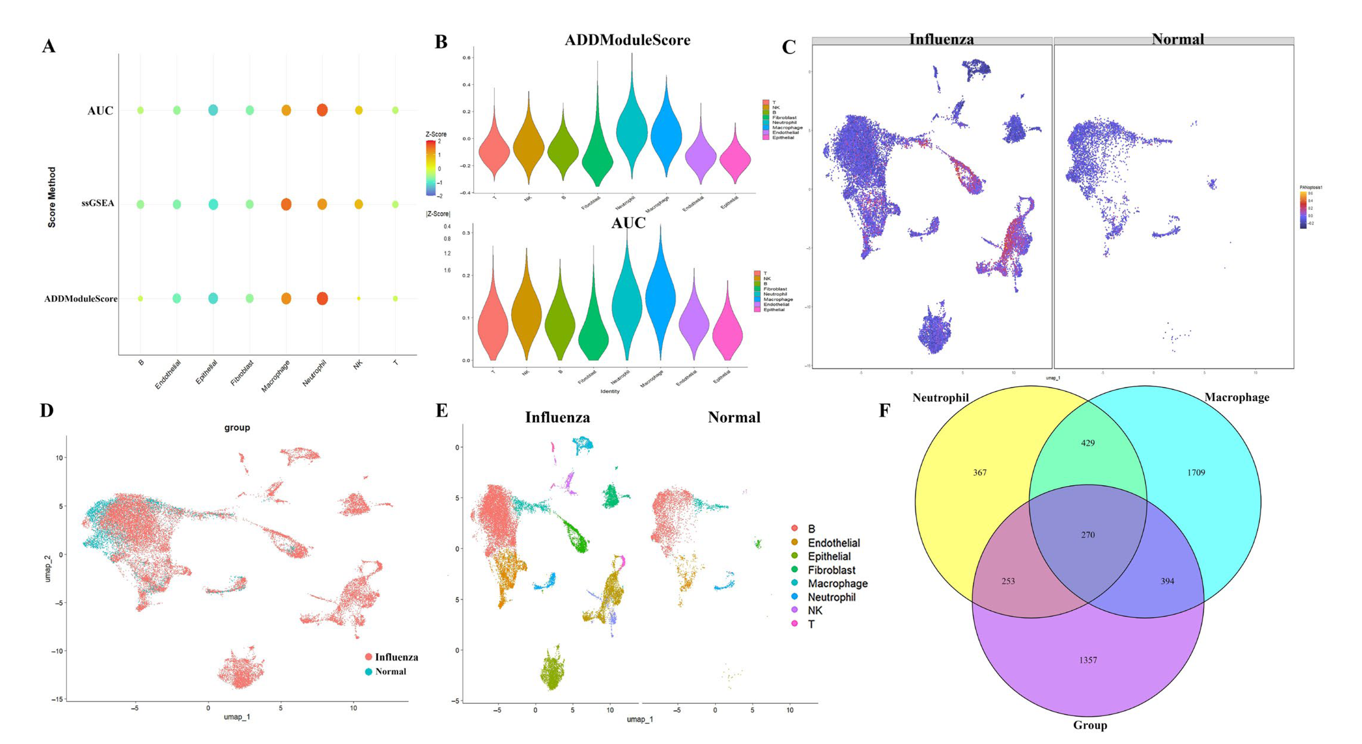Ijms 26 08533 g003 Ijms 26 08533 g003