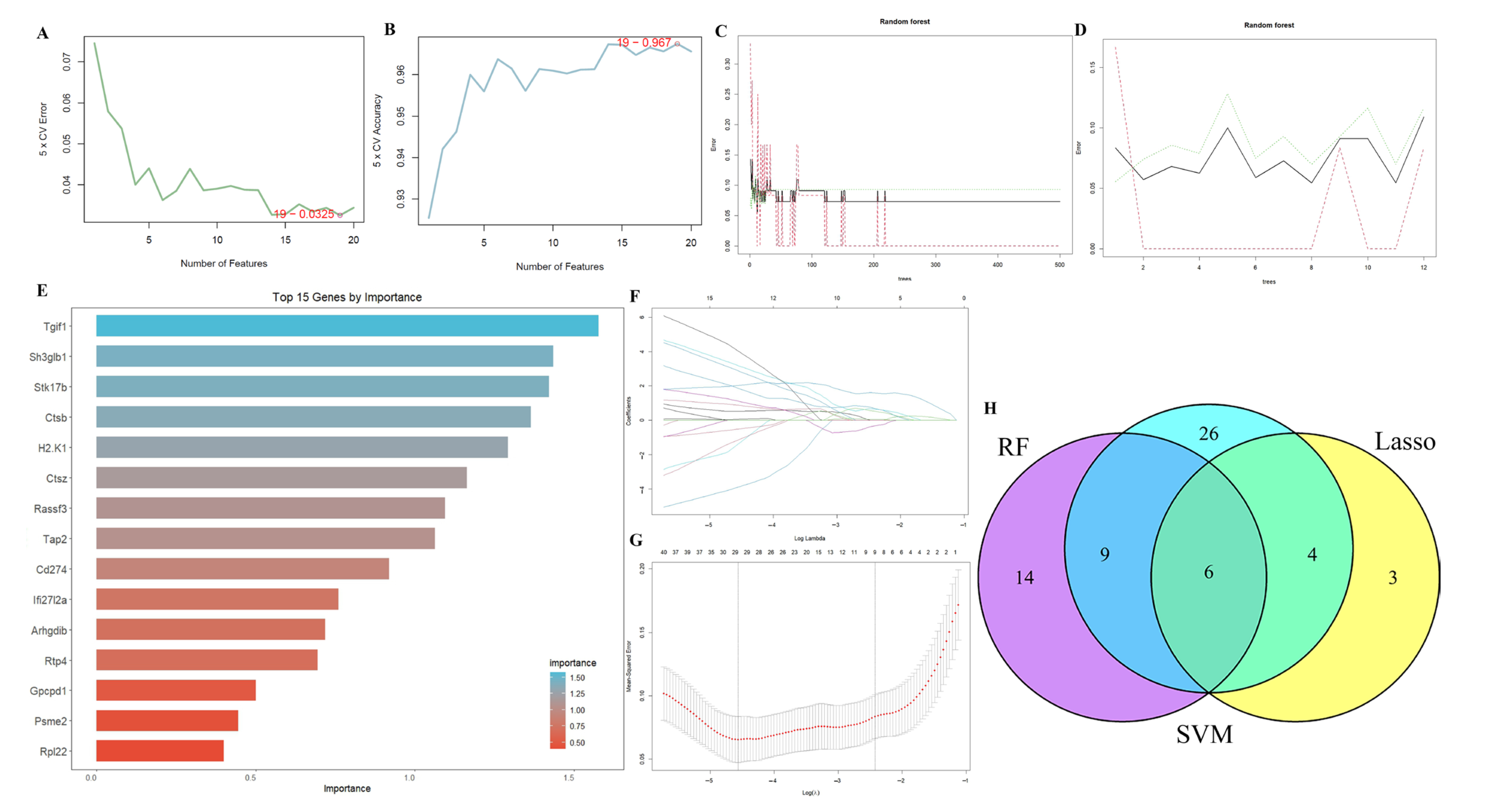Ijms 26 08533 g005 Ijms 26 08533 g005