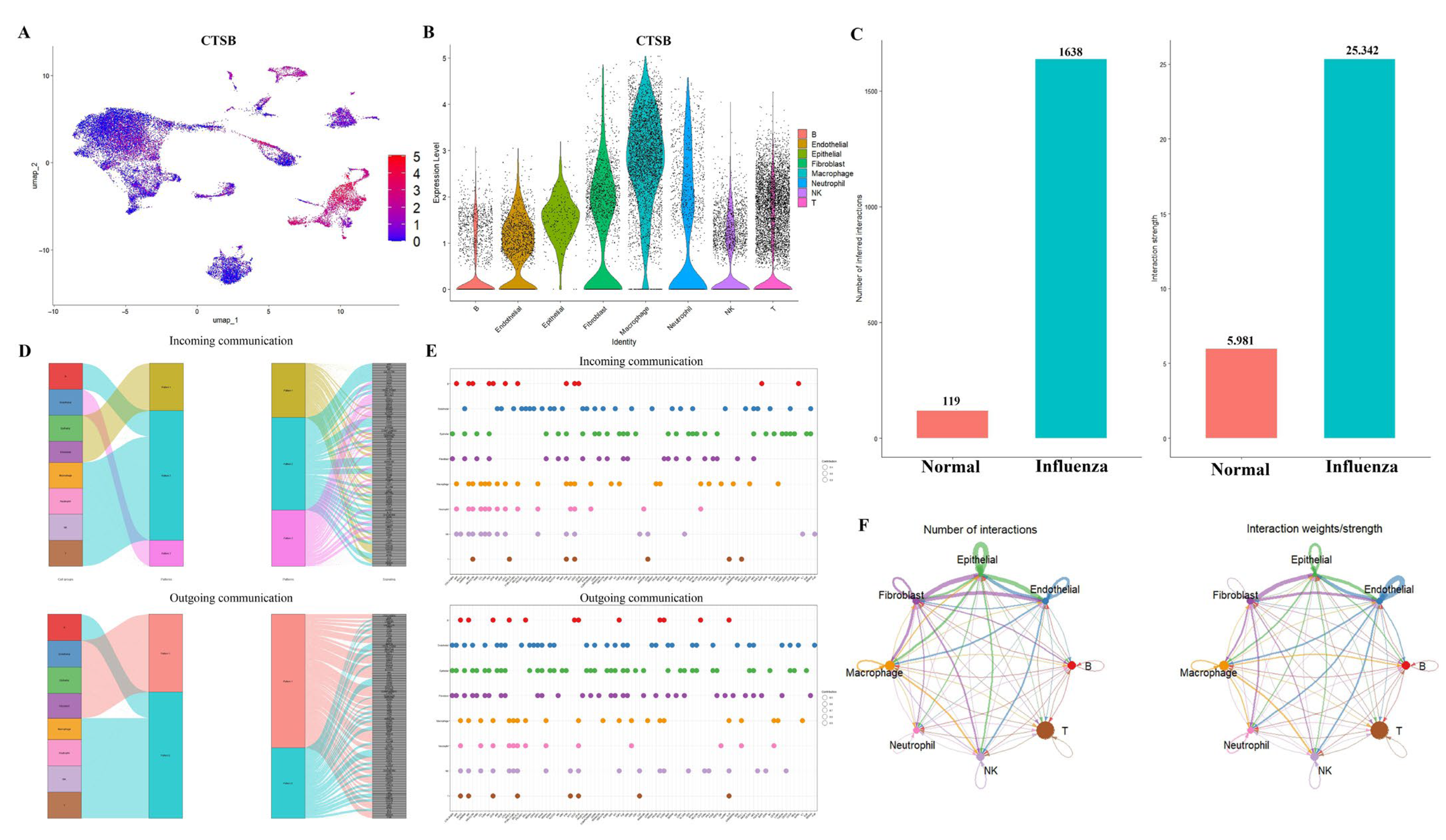 Ijms 26 08533 g006 Ijms 26 08533 g006