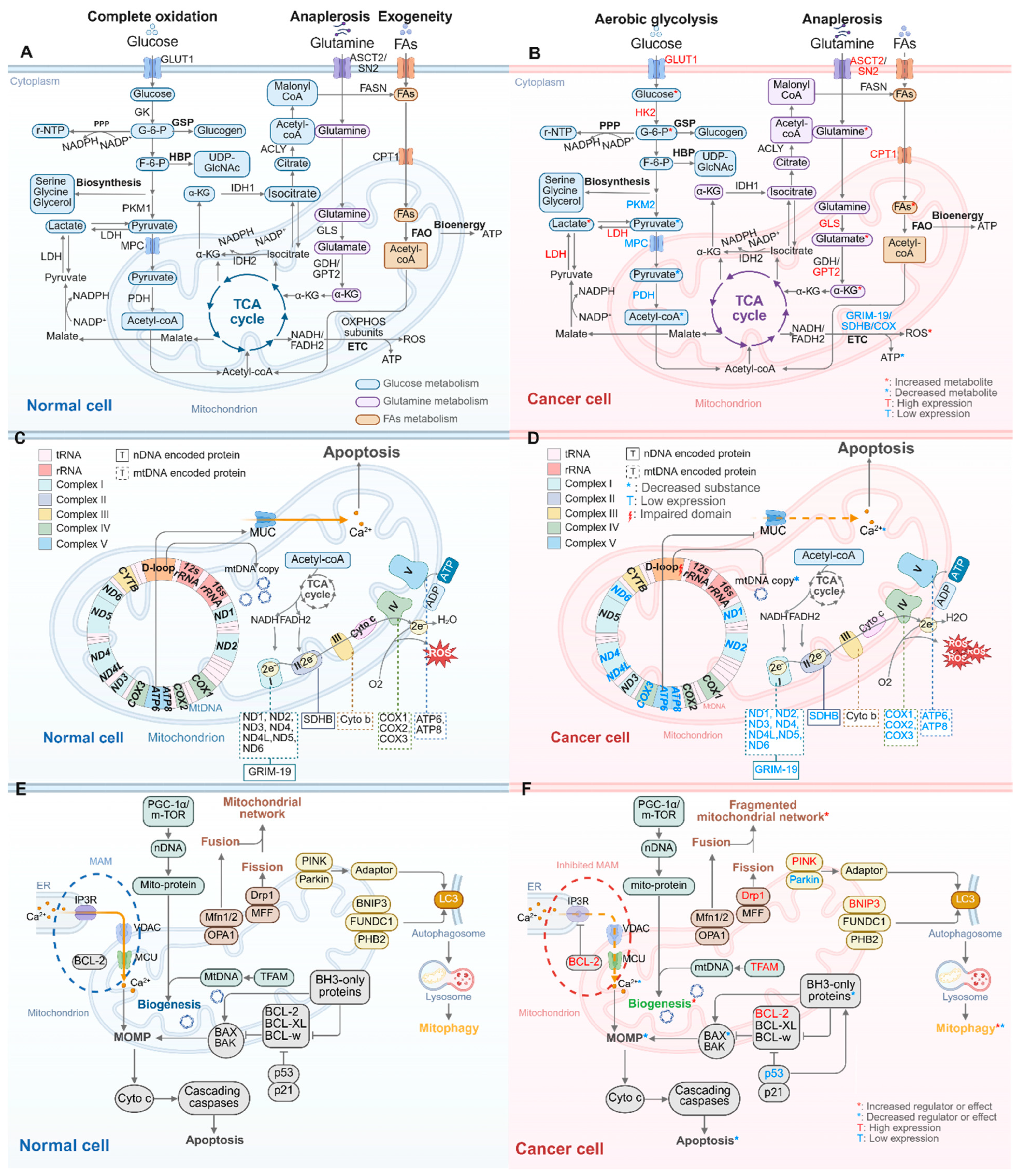 Ijms 26 08537 g001 Ijms 26 08537 g001