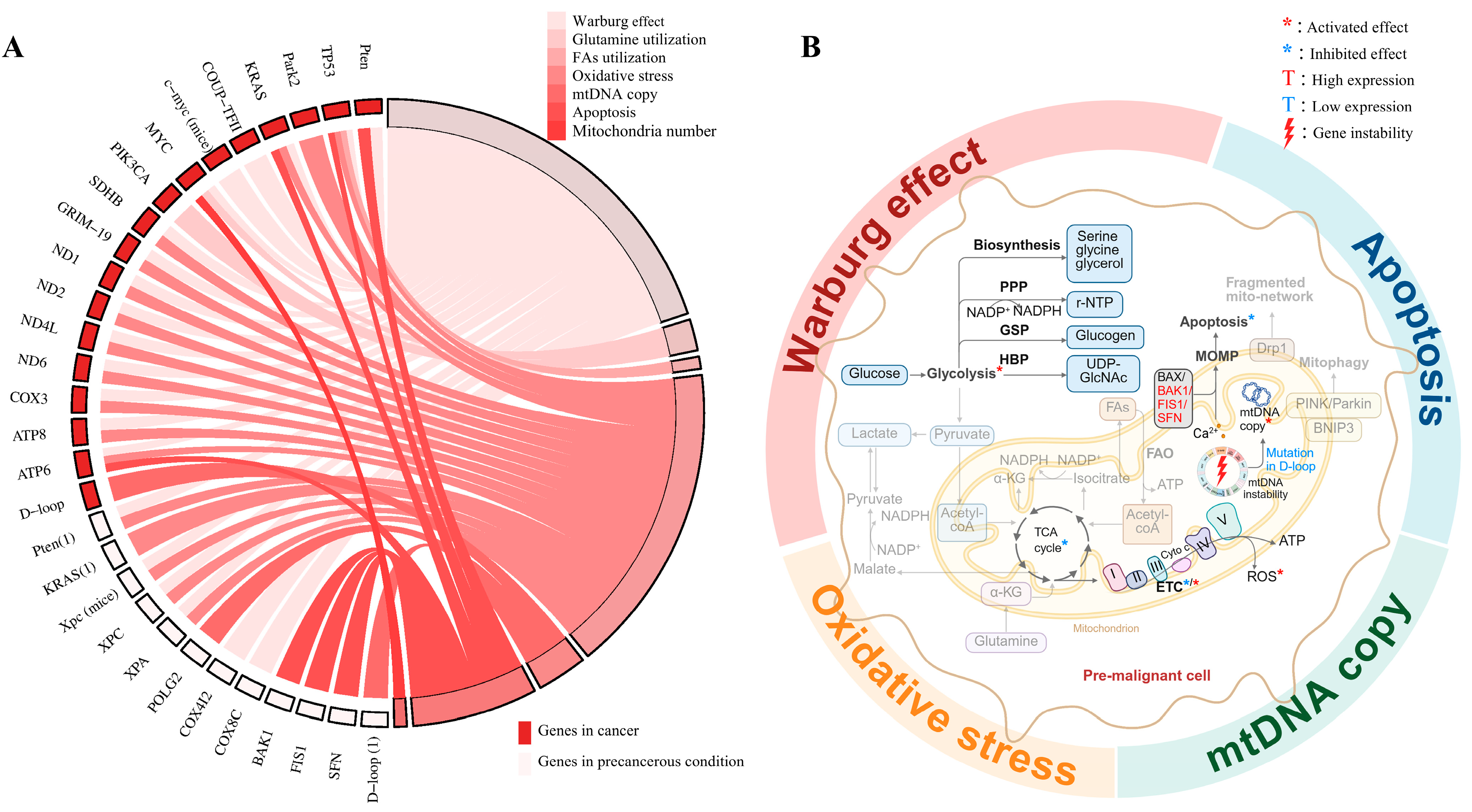 Ijms 26 08537 g003 Ijms 26 08537 g003