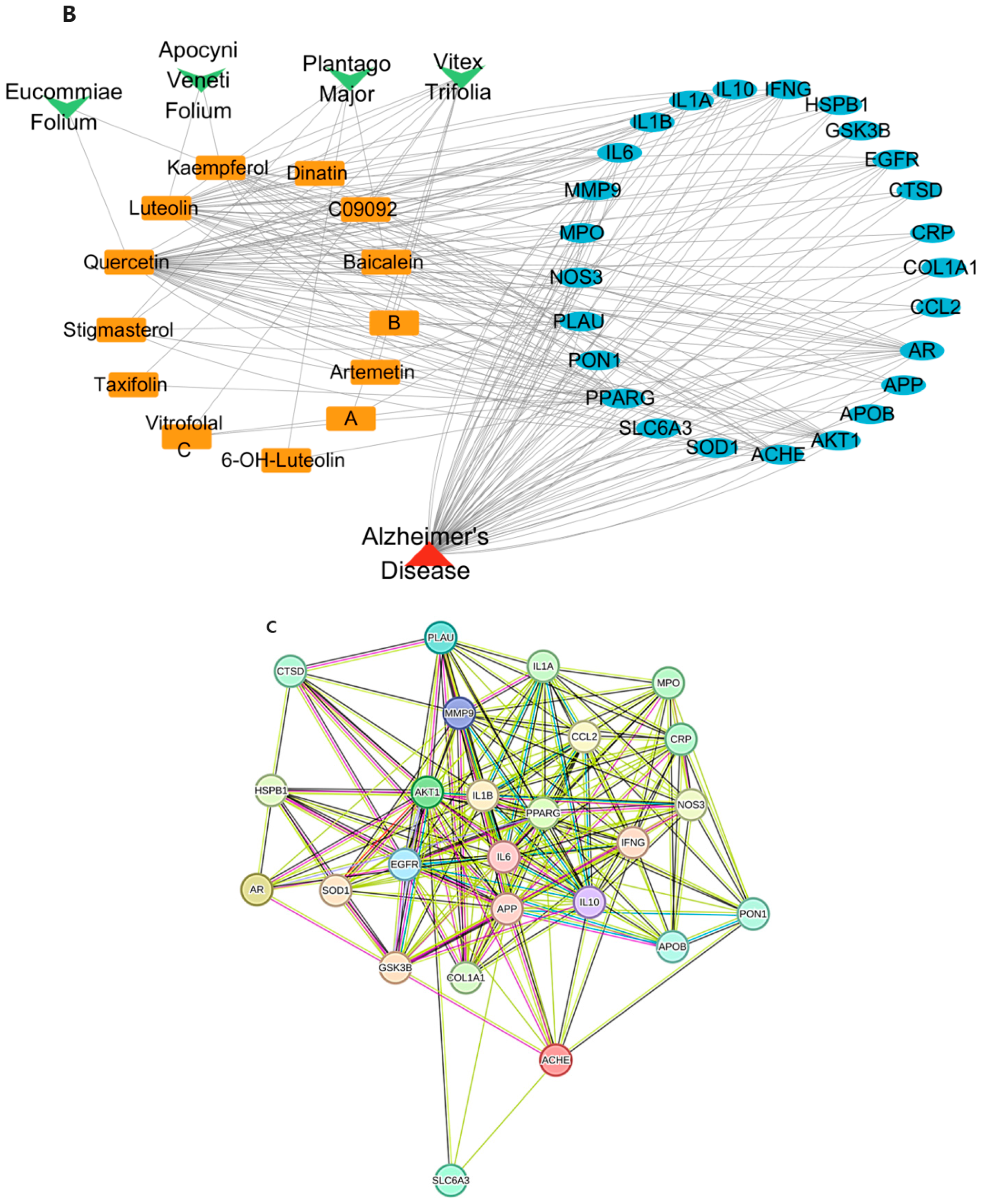 Ijms 26 08545 g001b Ijms 26 08545 g001b