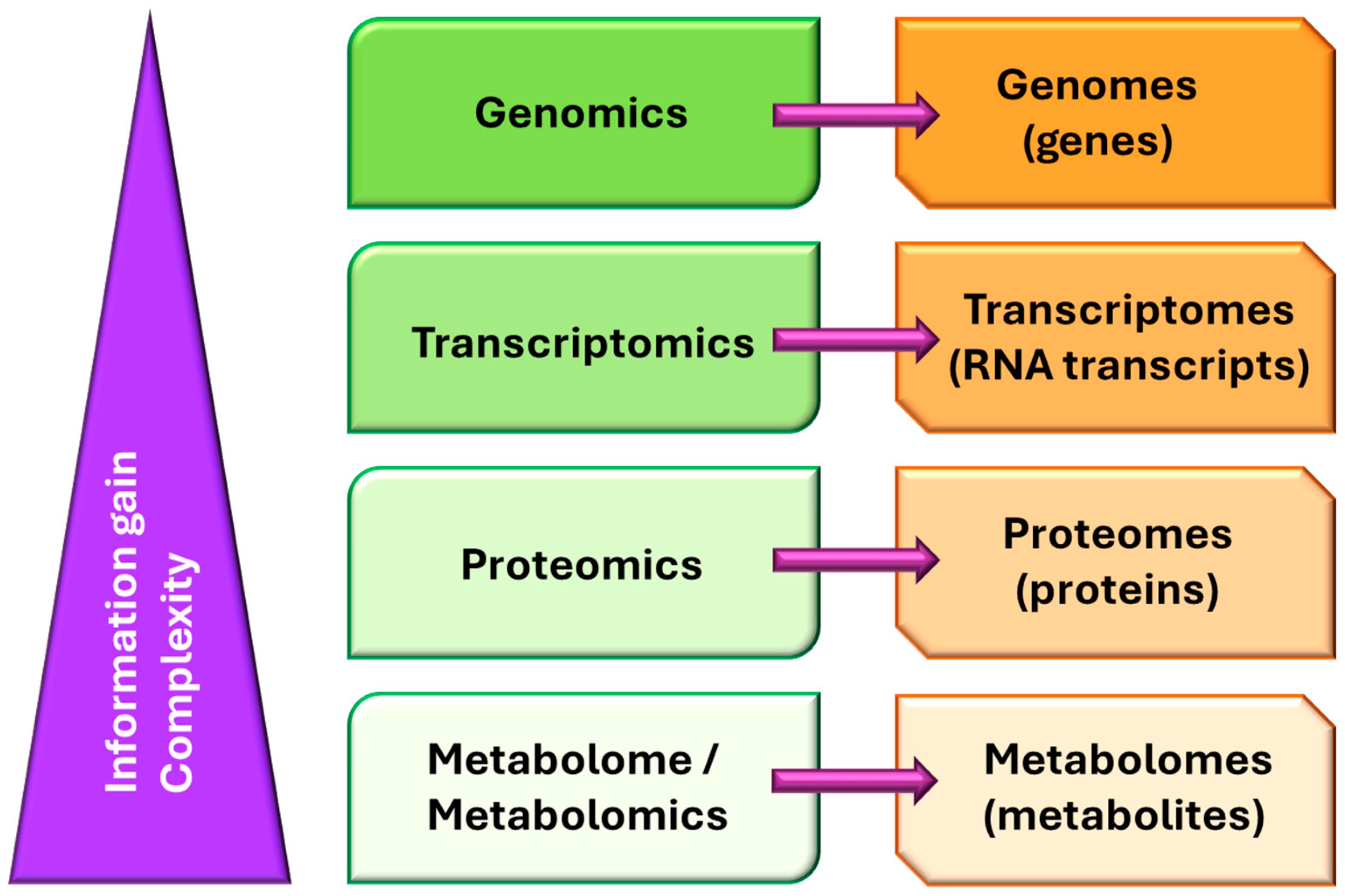 Ijms 26 08553 g001 Ijms 26 08553 g001
