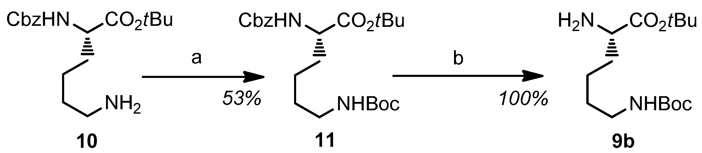 Ijms 26 08560 sch003