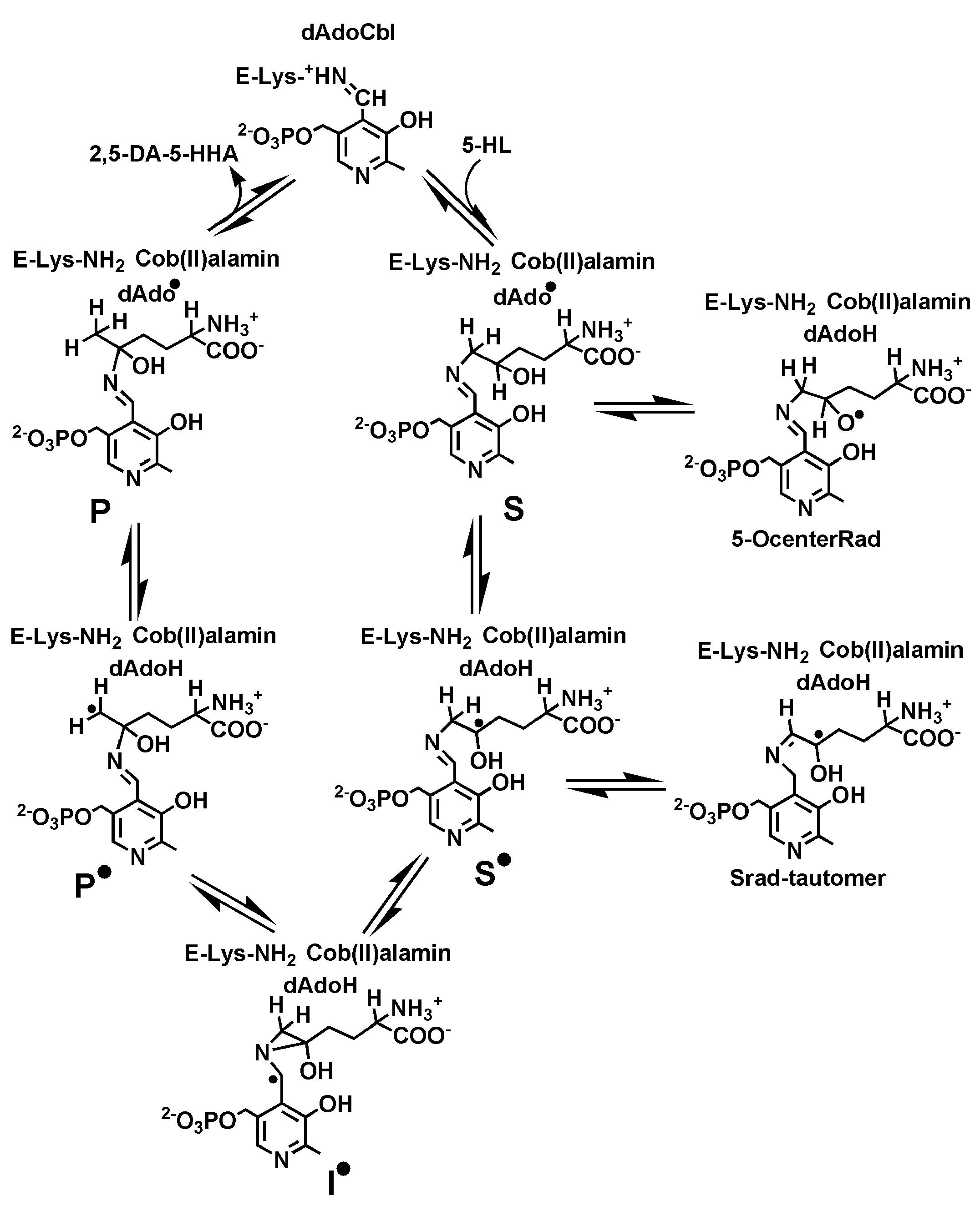 Ijms 26 08561 sch001