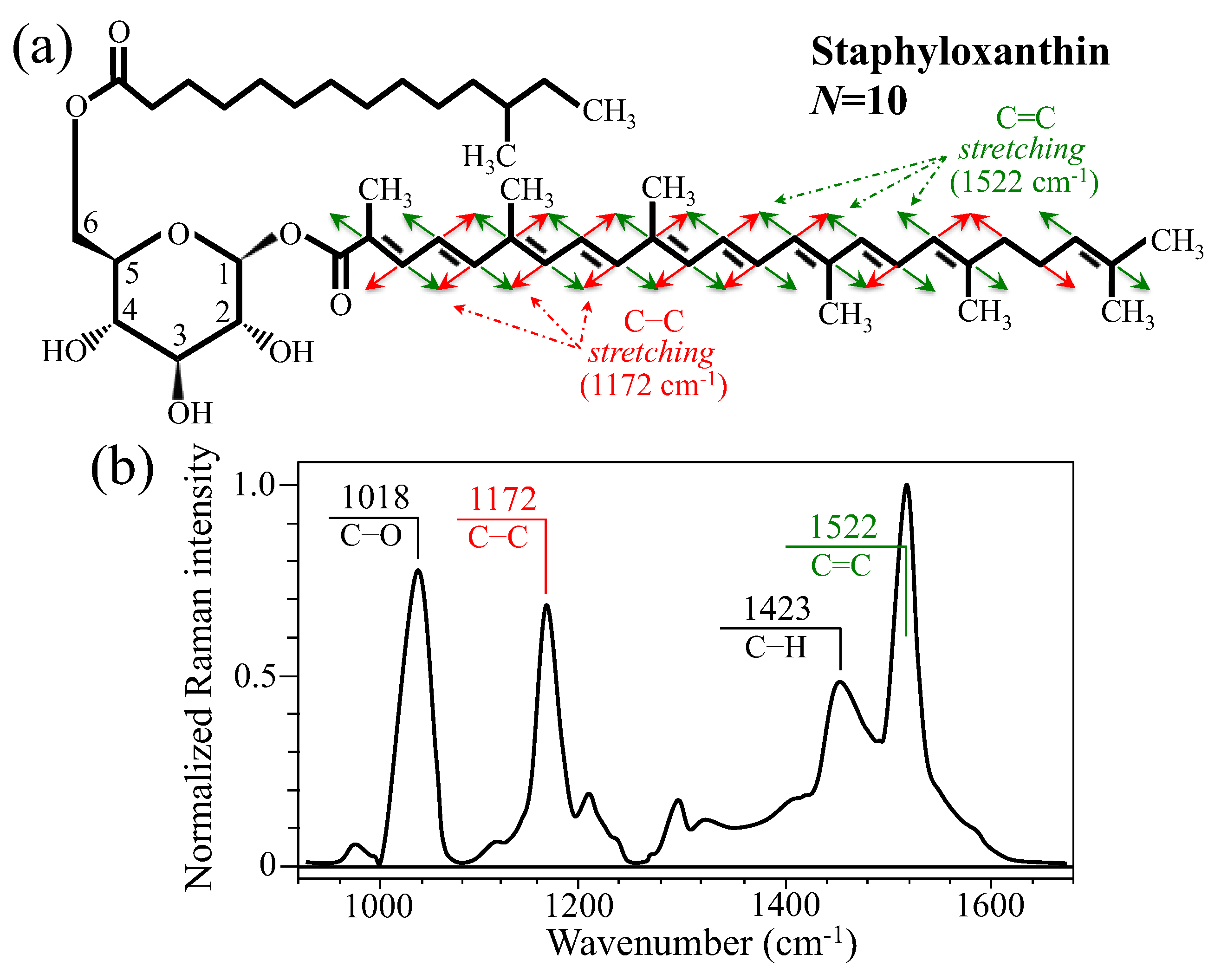 Ijms 26 08572 g004 Ijms 26 08572 g004
