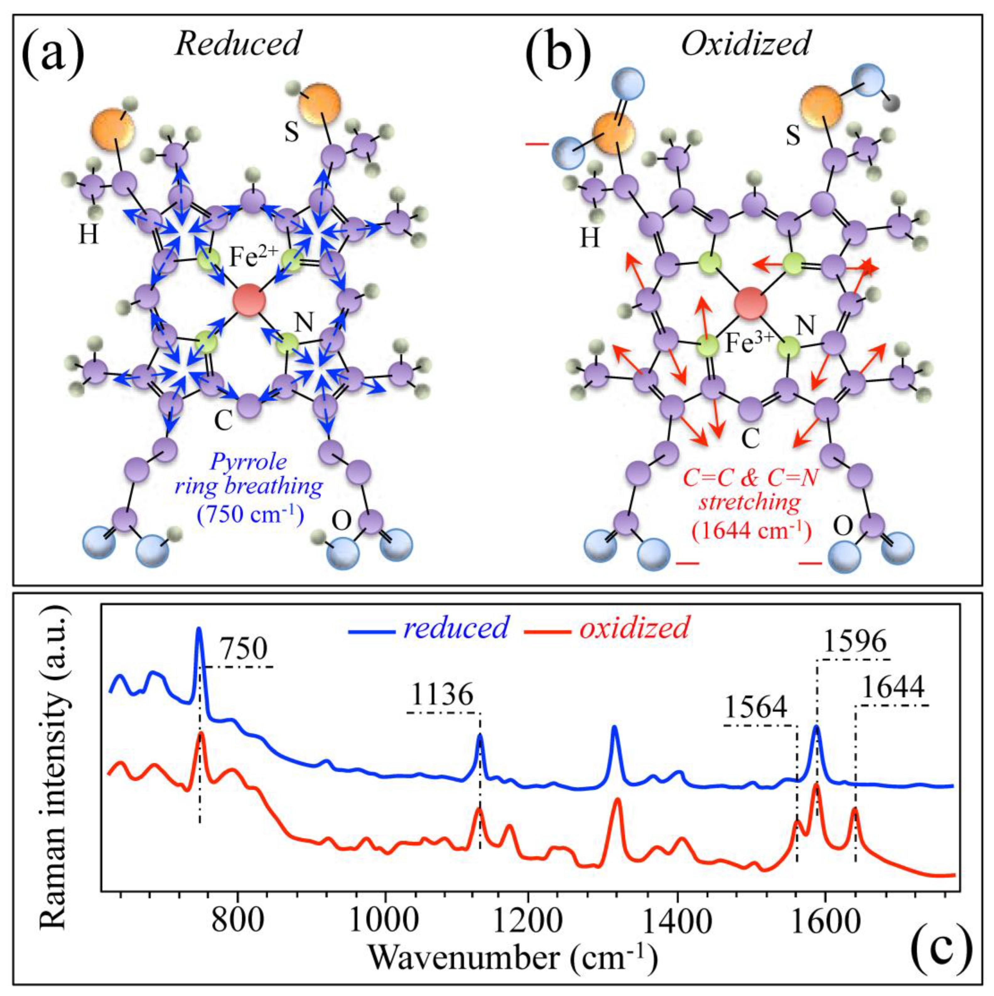 Ijms 26 08572 g005 Ijms 26 08572 g005