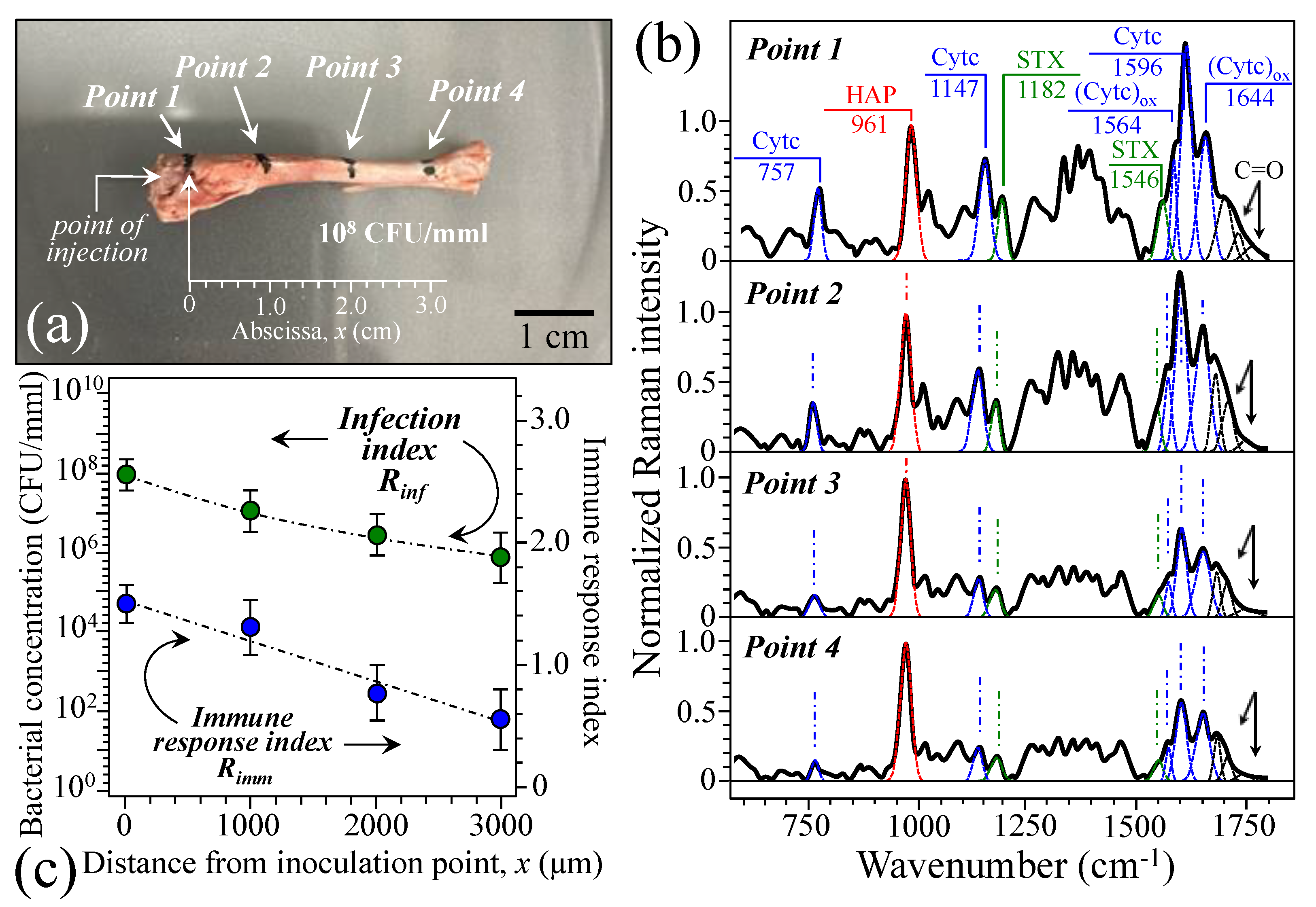 Ijms 26 08572 g007 Ijms 26 08572 g007
