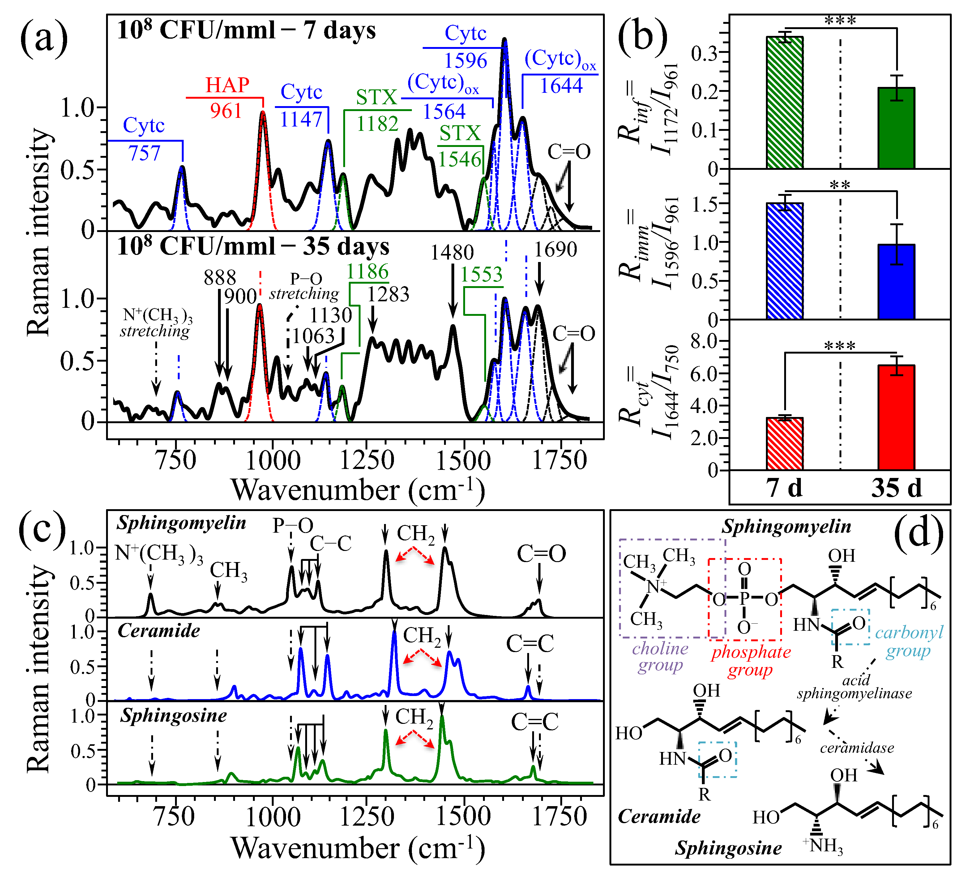 Ijms 26 08572 g008 Ijms 26 08572 g008