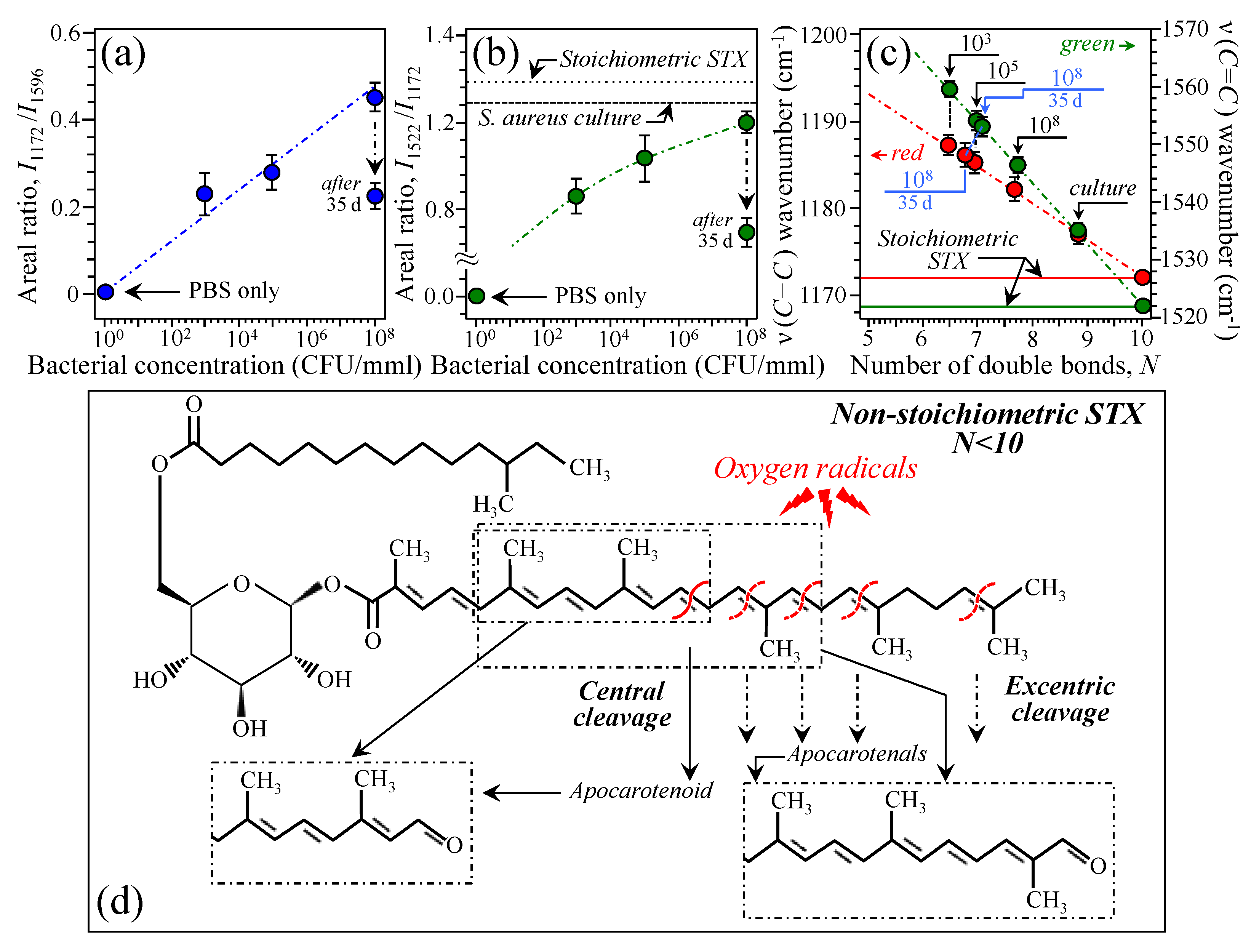 Ijms 26 08572 g009 Ijms 26 08572 g009