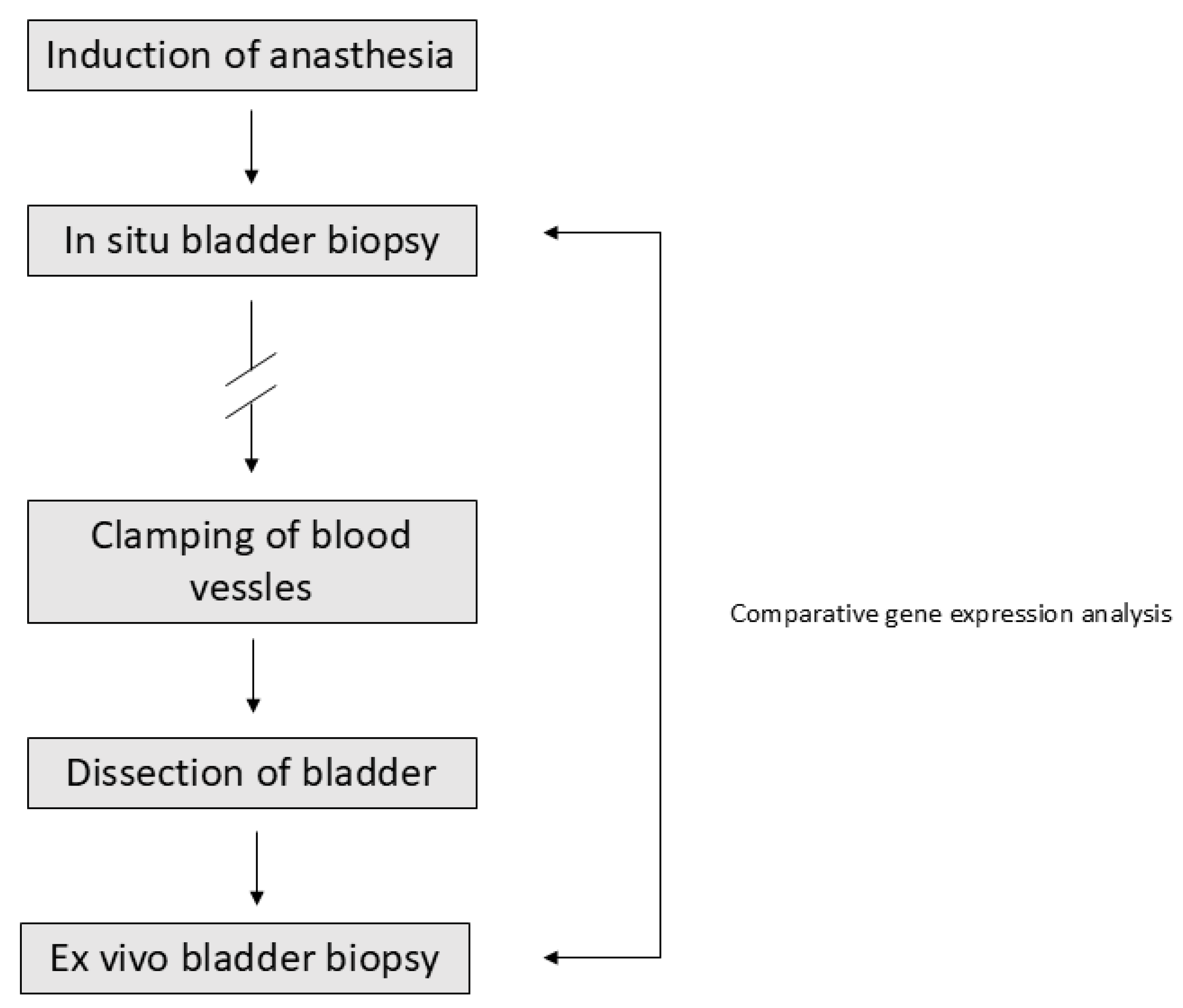 Ijms 26 08581 g003 Ijms 26 08581 g003