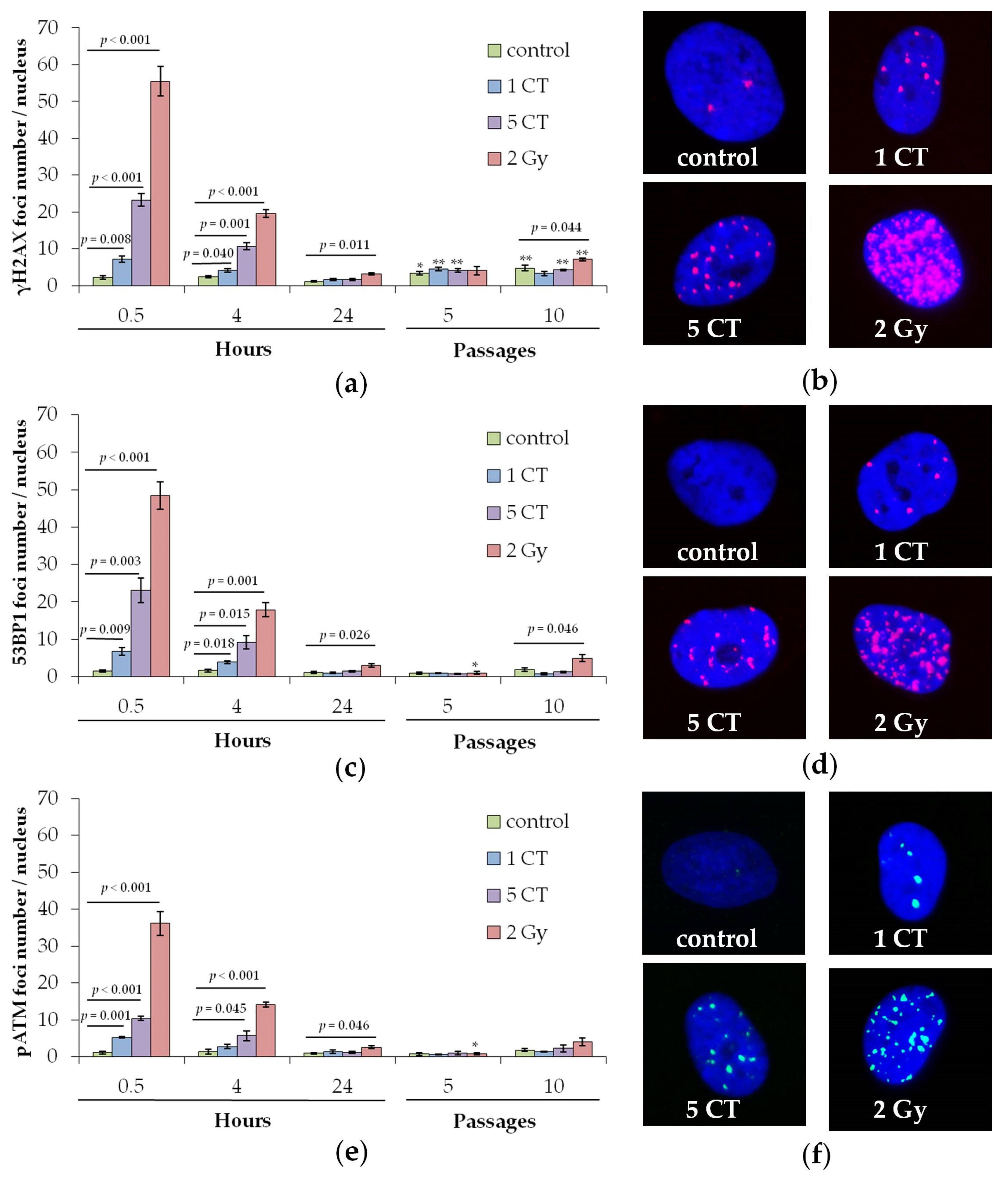 Ijms 26 08584 g001 Ijms 26 08584 g001