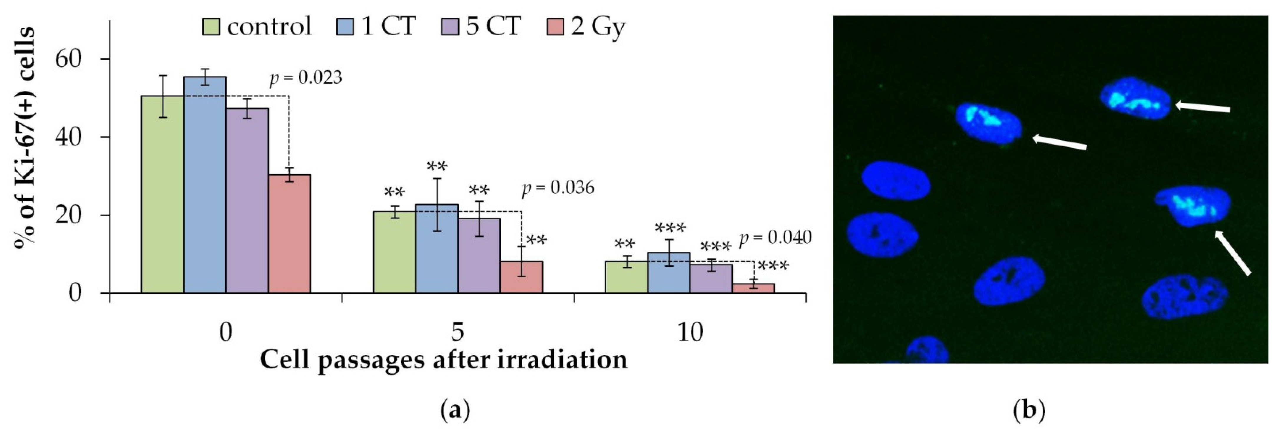 Ijms 26 08584 g002 Ijms 26 08584 g002