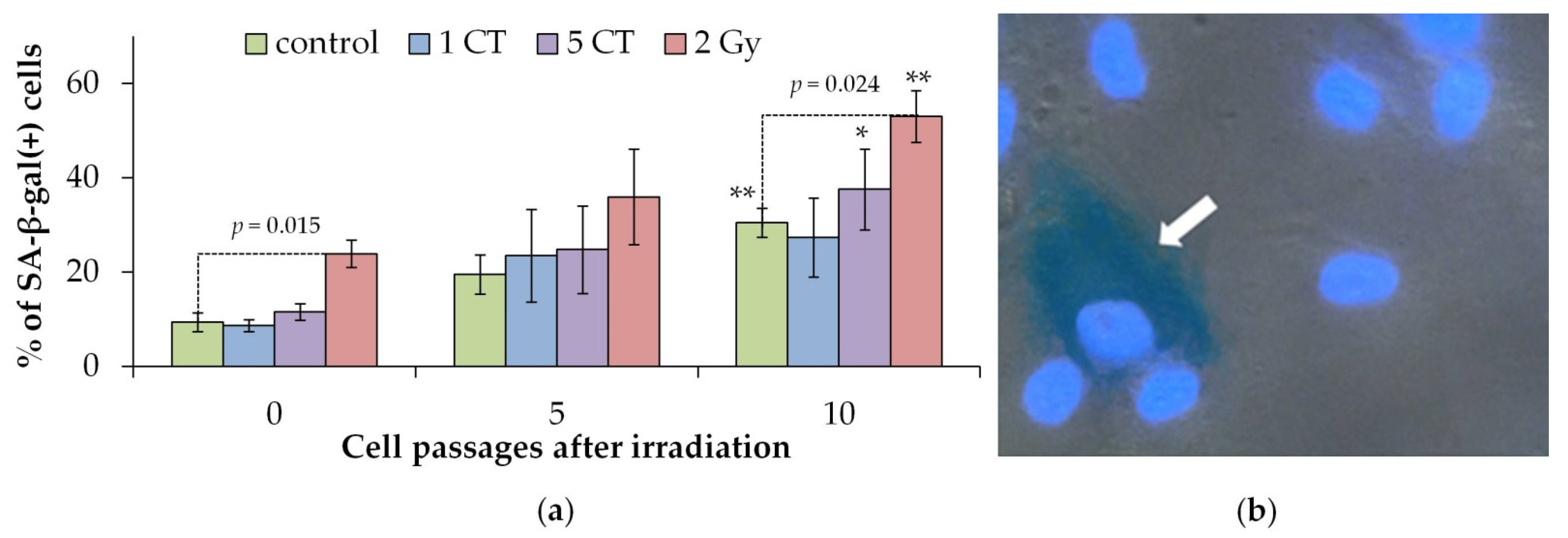 Ijms 26 08584 g003 Ijms 26 08584 g003