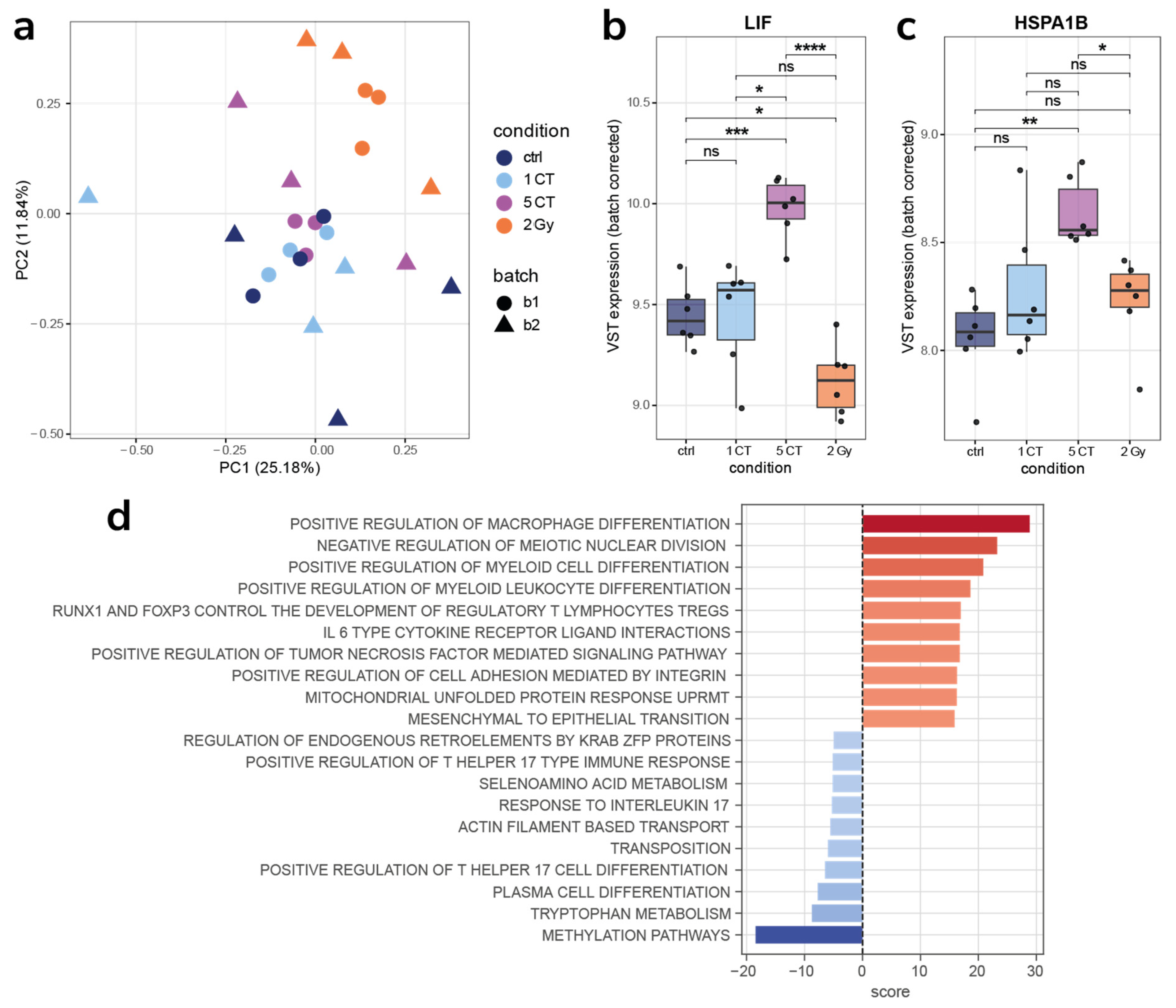 Ijms 26 08584 g004 Ijms 26 08584 g004