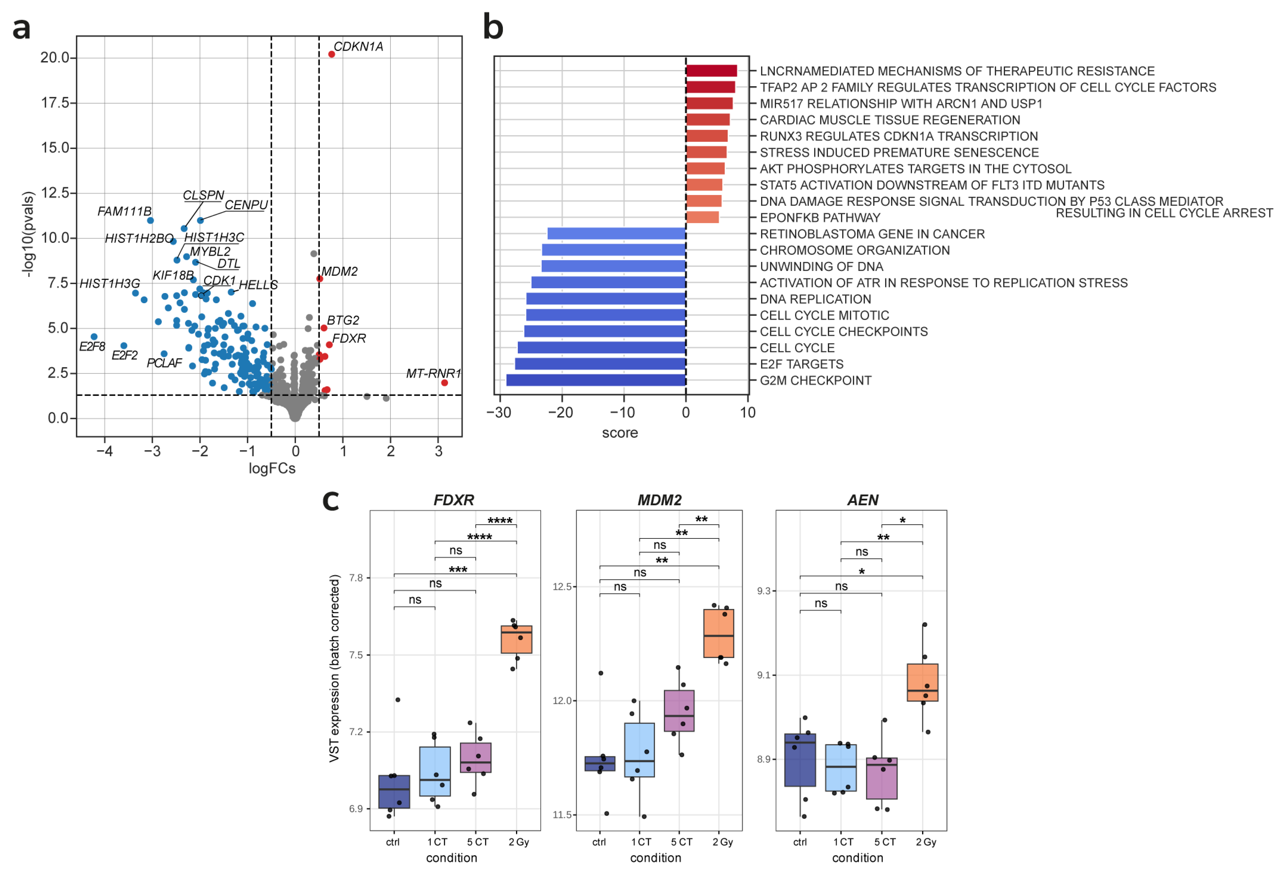 Ijms 26 08584 g005 Ijms 26 08584 g005