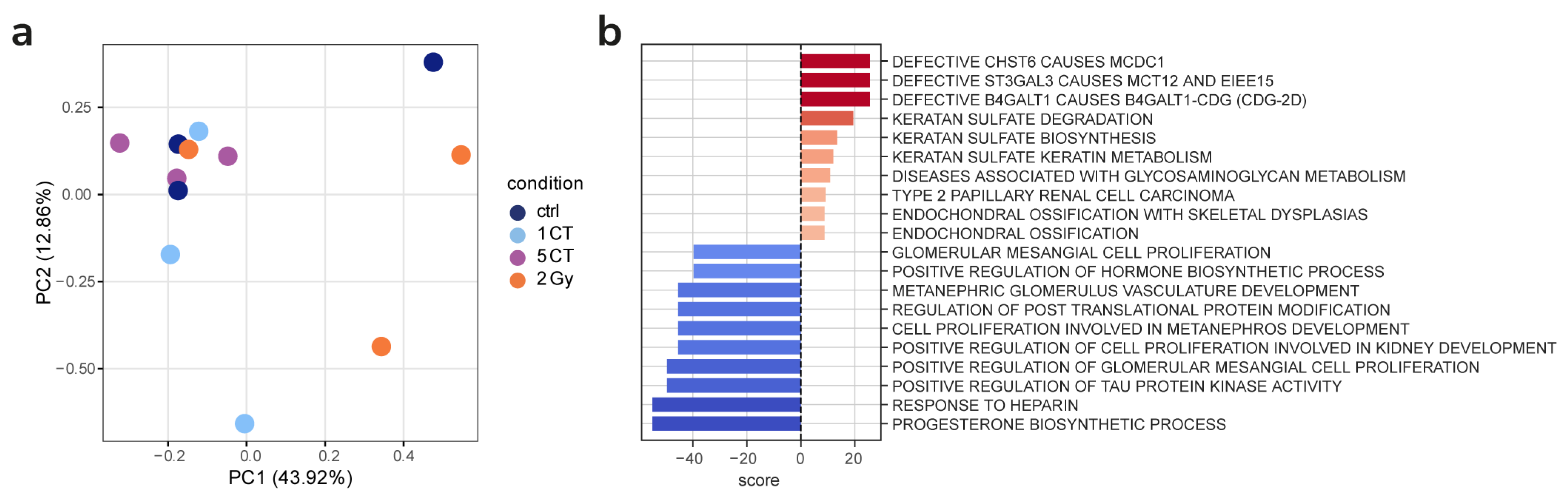 Ijms 26 08584 g006 Ijms 26 08584 g006