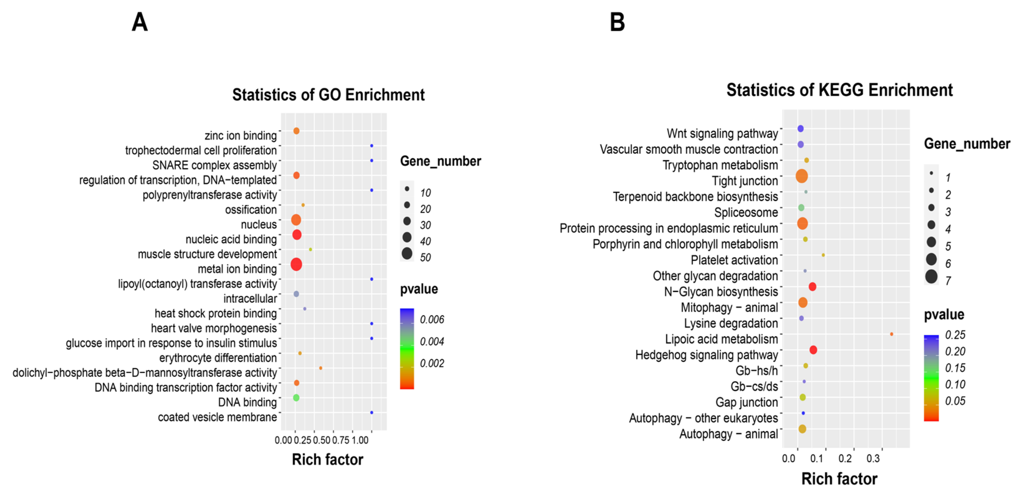 Ijms 26 08587 g005 Ijms 26 08587 g005