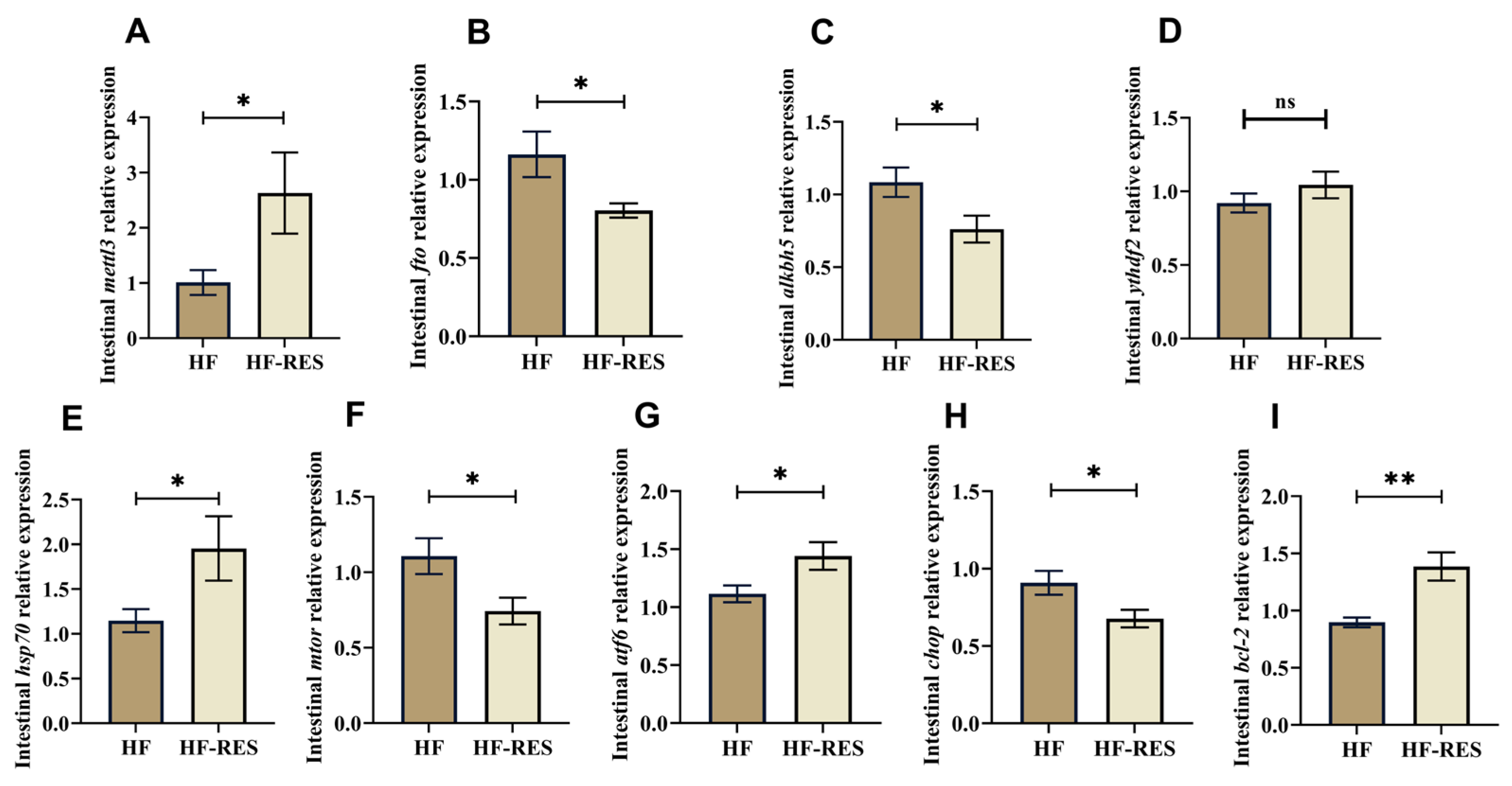 Ijms 26 08587 g007 Ijms 26 08587 g007