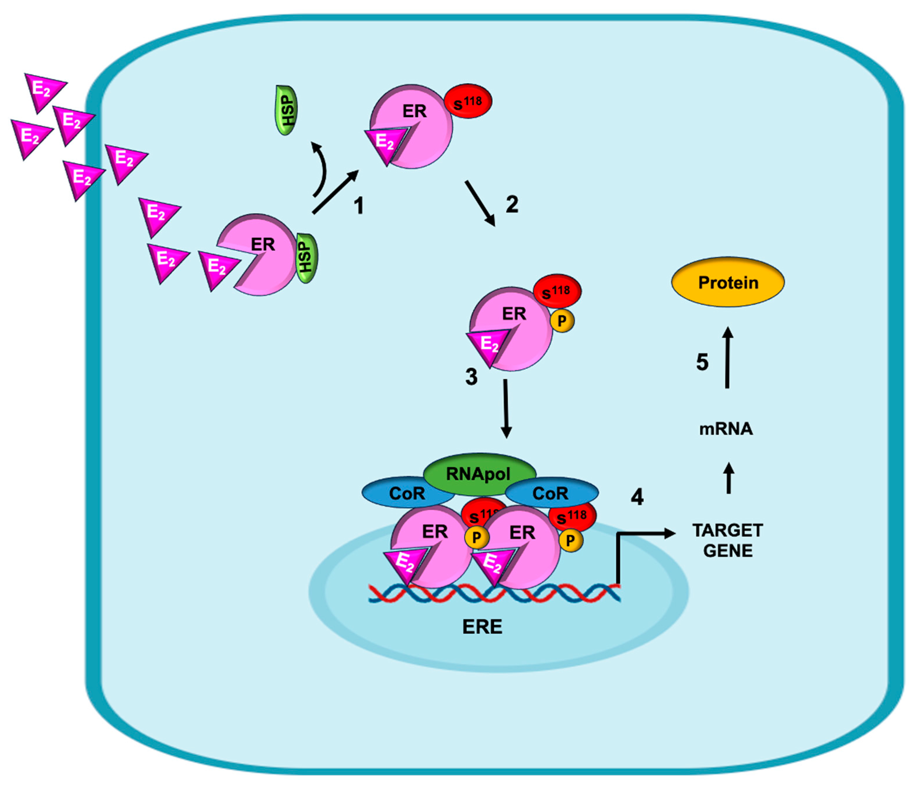 Ijms 26 08589 g002 Ijms 26 08589 g002