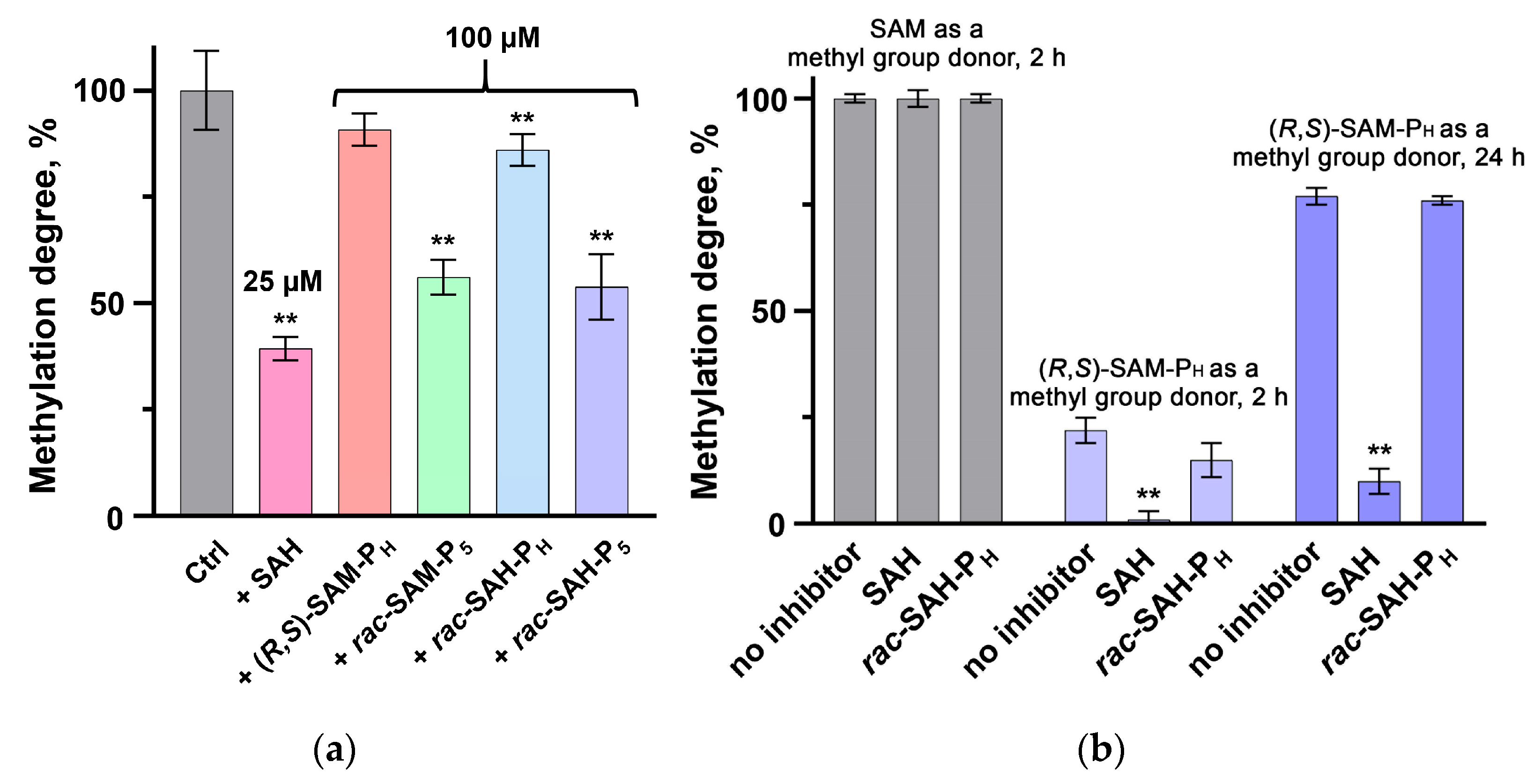 Ijms 26 08590 g003 Ijms 26 08590 g003