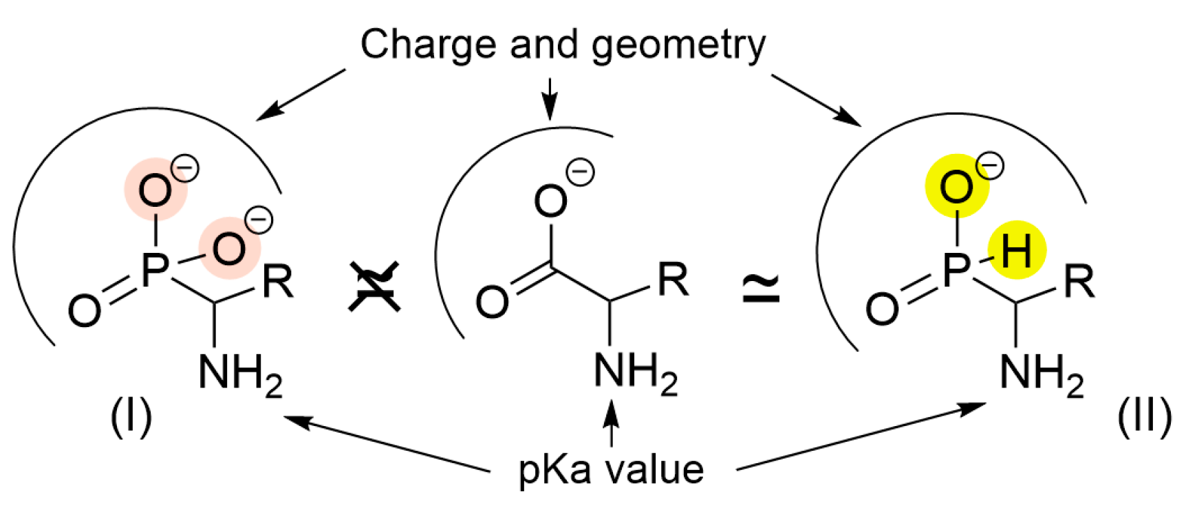 Ijms 26 08590 g004 Ijms 26 08590 g004