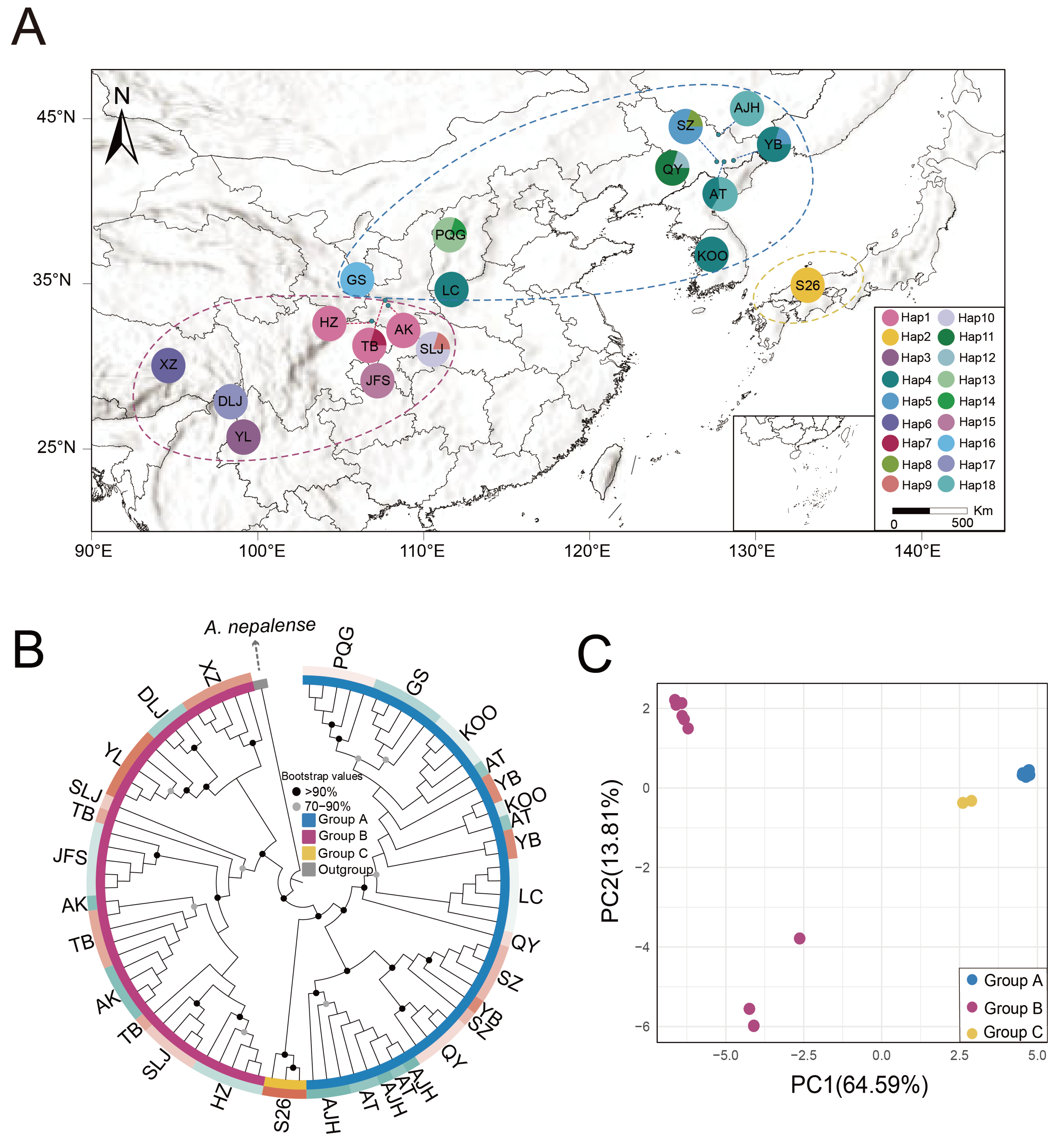 Ijms 26 08594 g002 Ijms 26 08594 g002