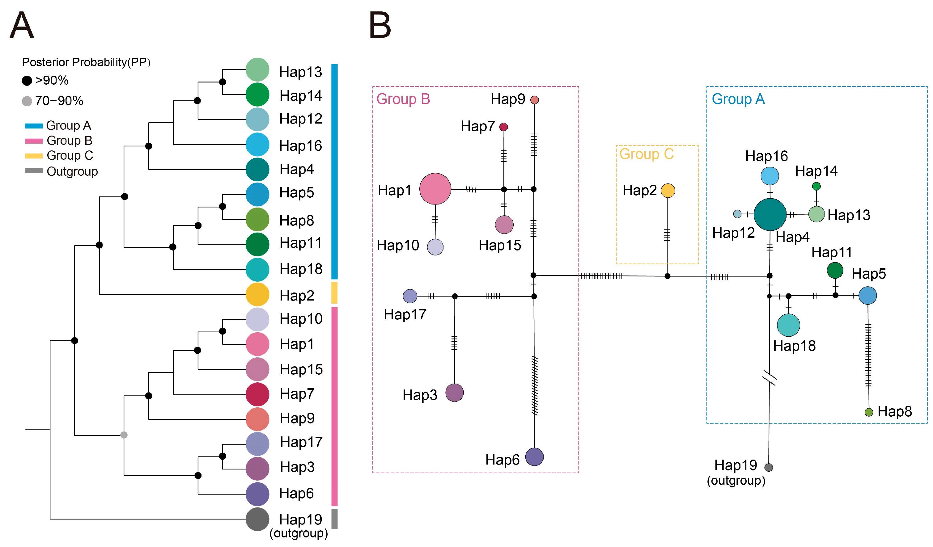 Ijms 26 08594 g003 Ijms 26 08594 g003