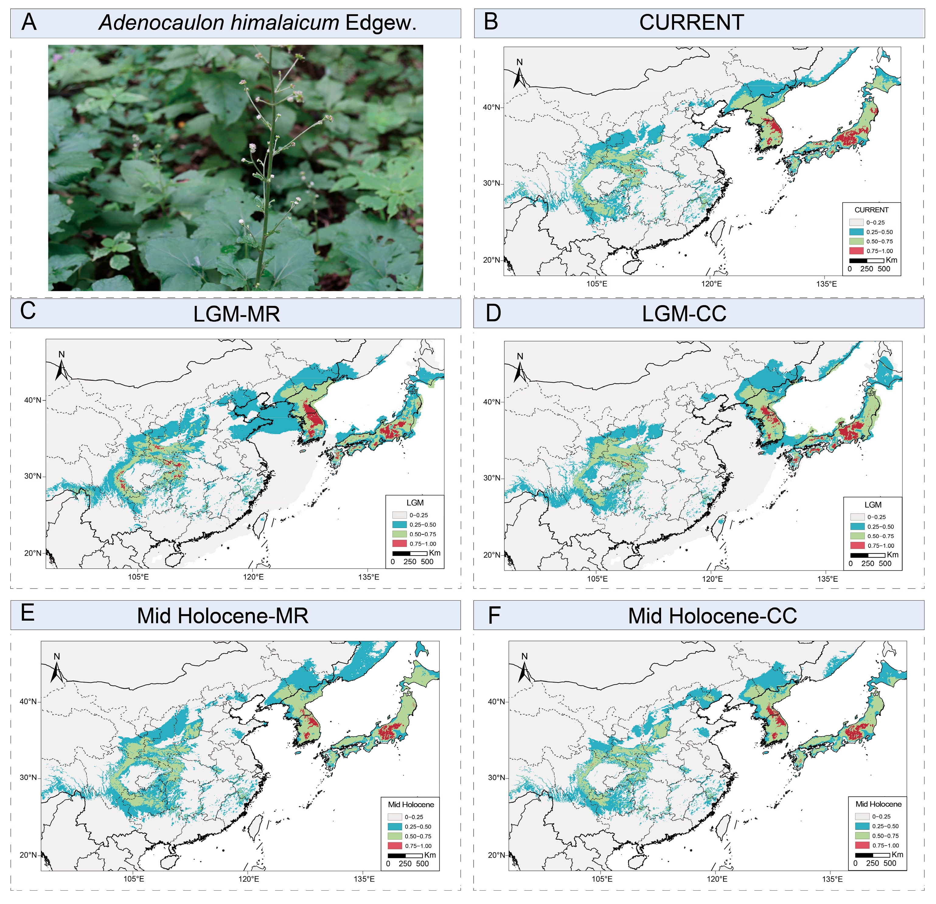 Ijms 26 08594 g005 Ijms 26 08594 g005