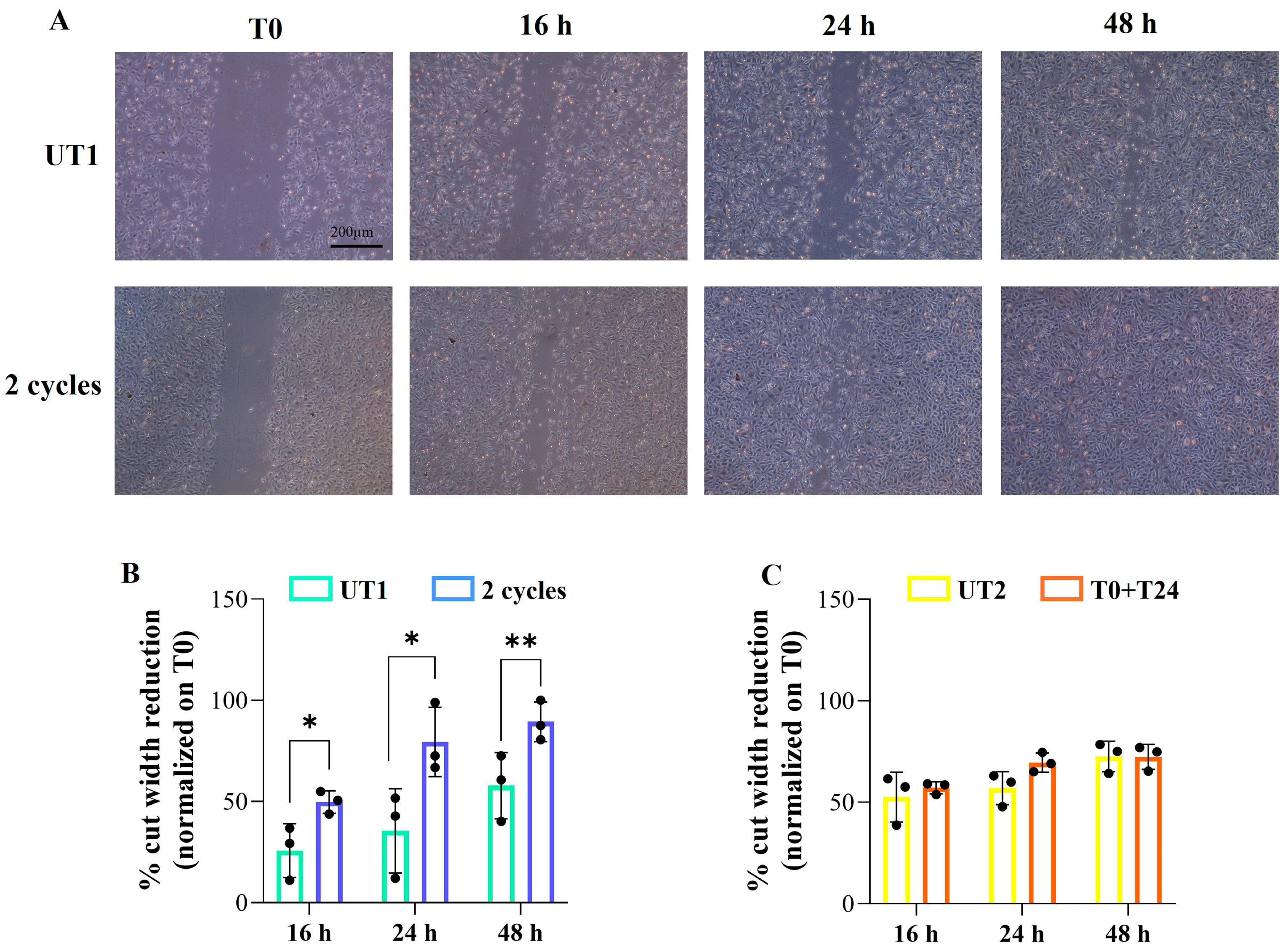 Ijms 26 08600 g005 Ijms 26 08600 g005