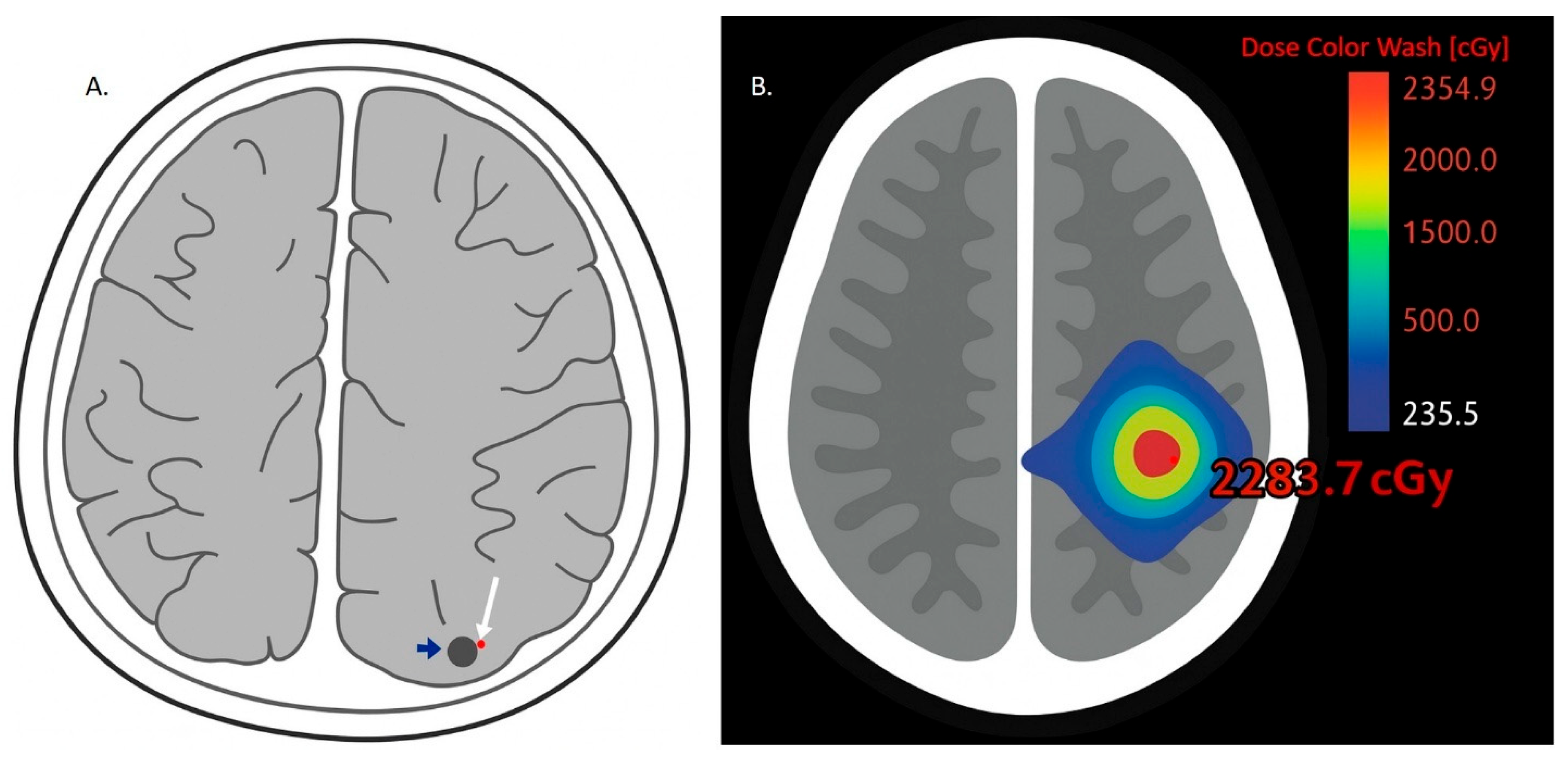 Ijms 26 08624 g003 Ijms 26 08624 g003