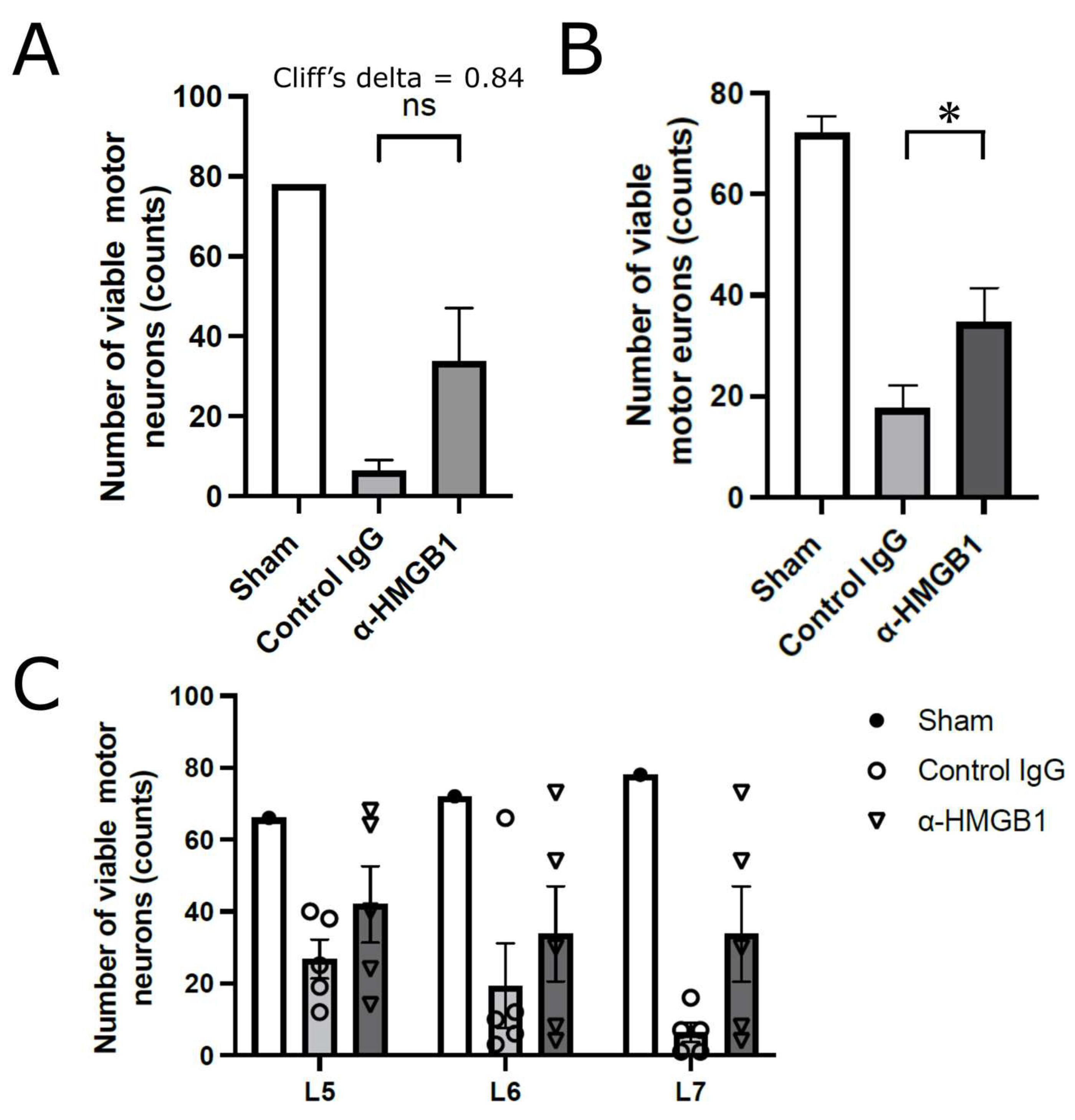 Ijms 26 08643 g004 Ijms 26 08643 g004
