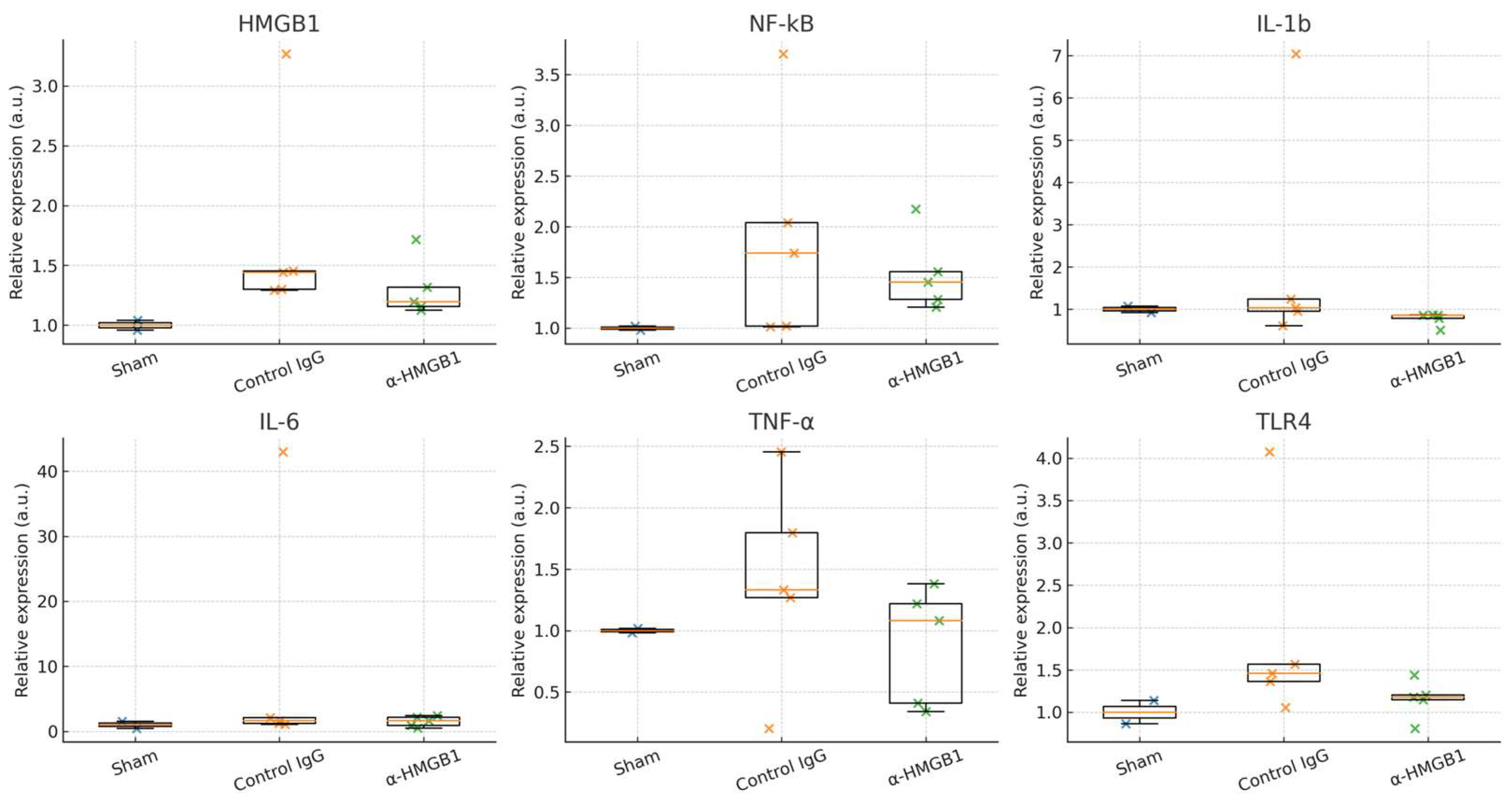 Ijms 26 08643 g010 Ijms 26 08643 g010