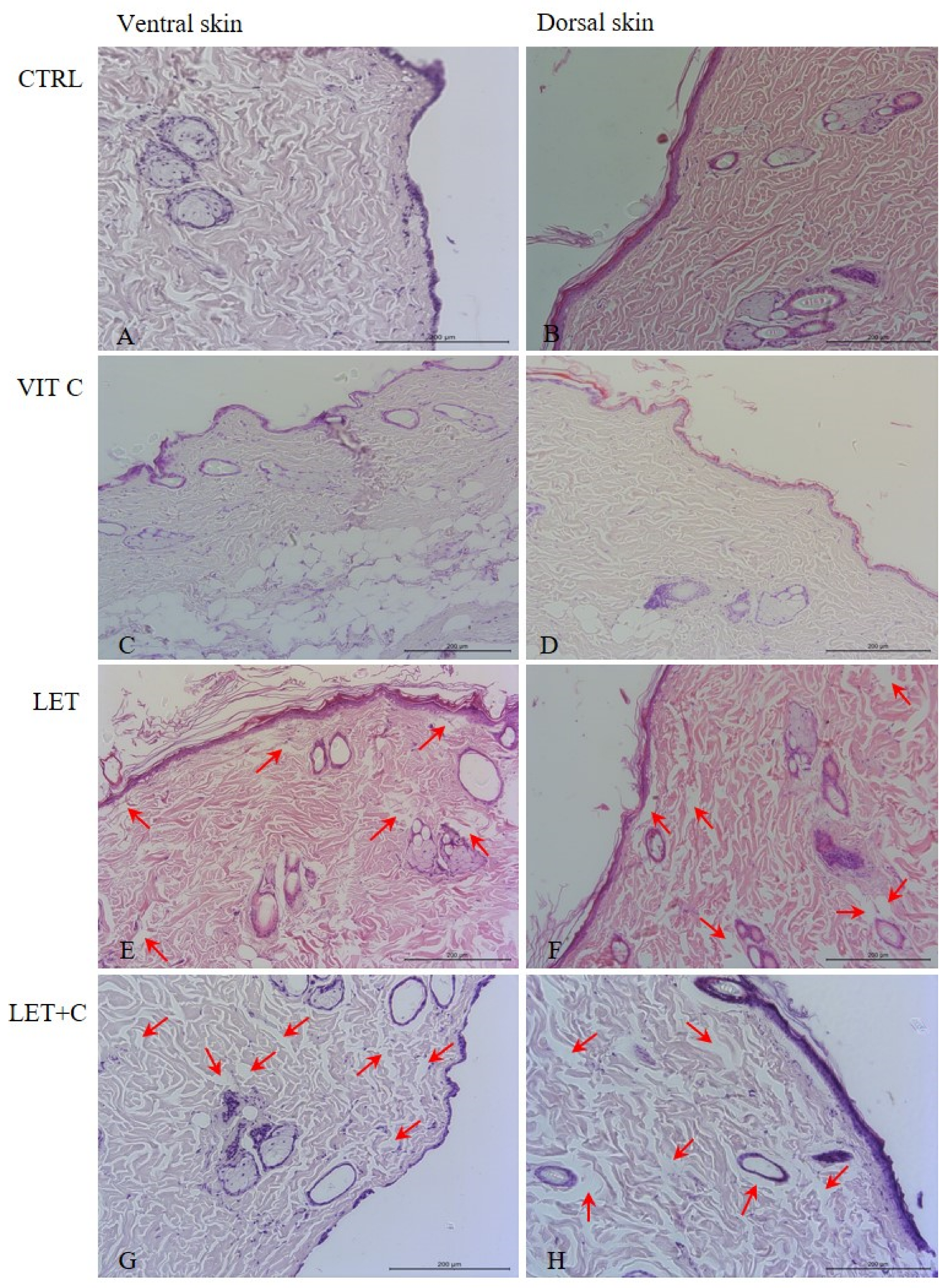 Ijms 26 08645 g001 Ijms 26 08645 g001