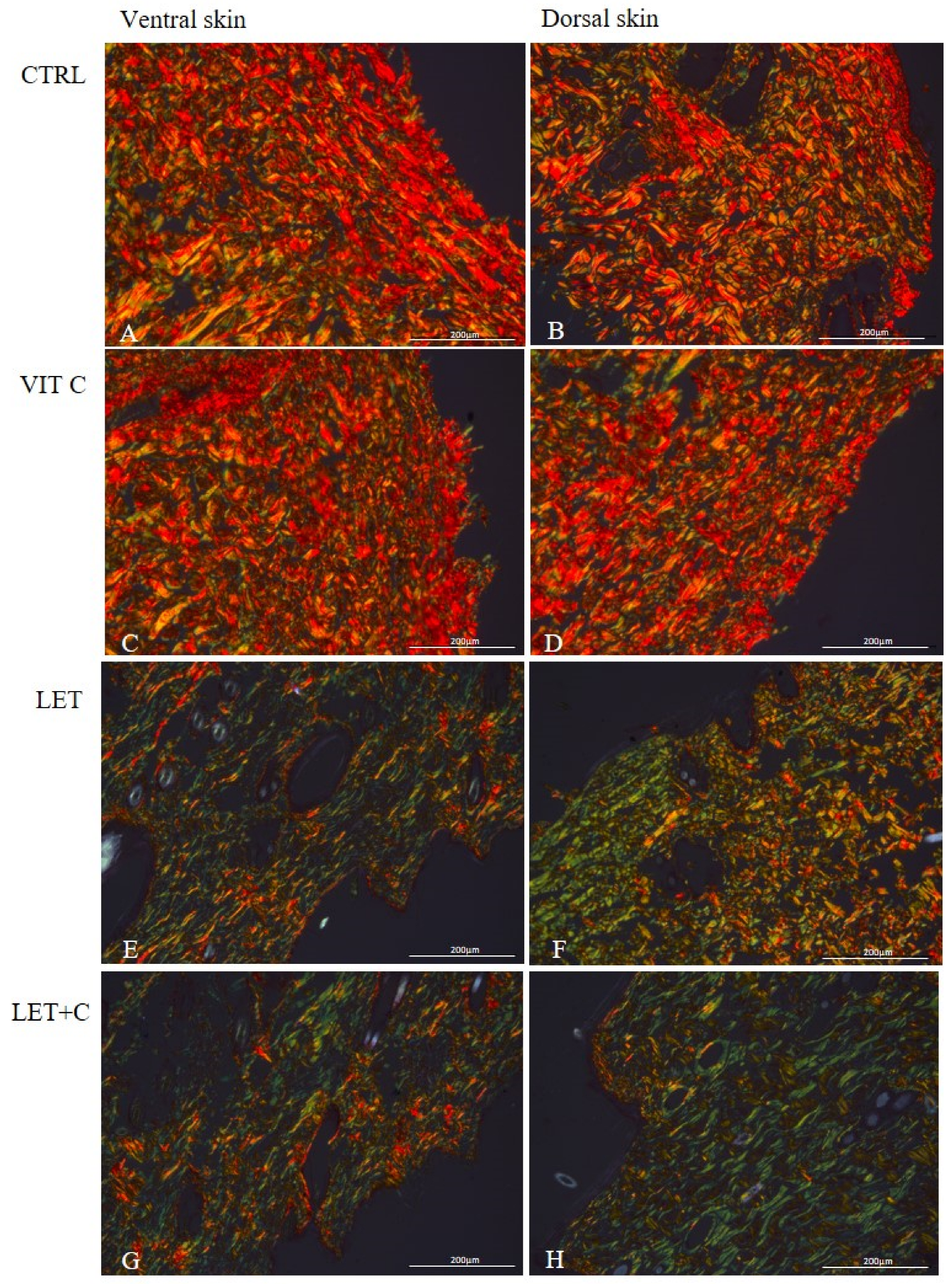 Ijms 26 08645 g002 Ijms 26 08645 g002