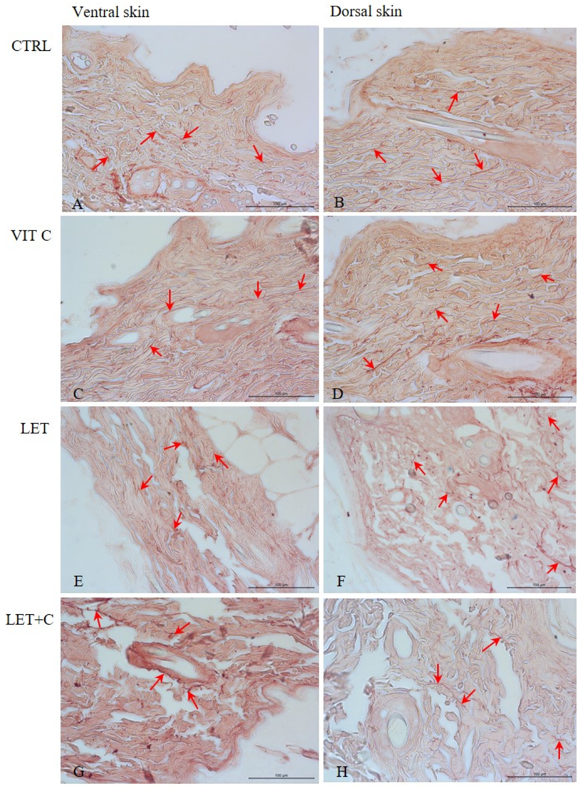 Ijms 26 08645 g003 Ijms 26 08645 g003