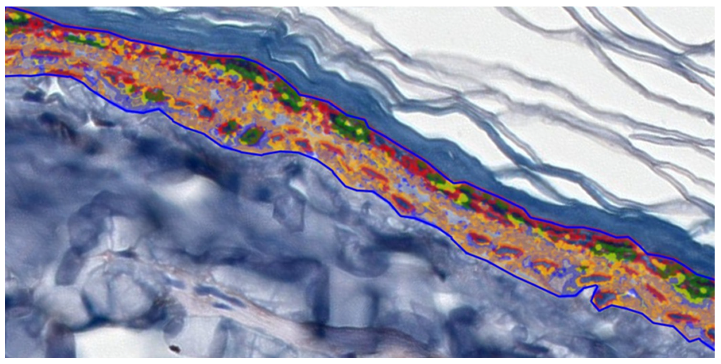 Ijms 26 08645 g006 Ijms 26 08645 g006