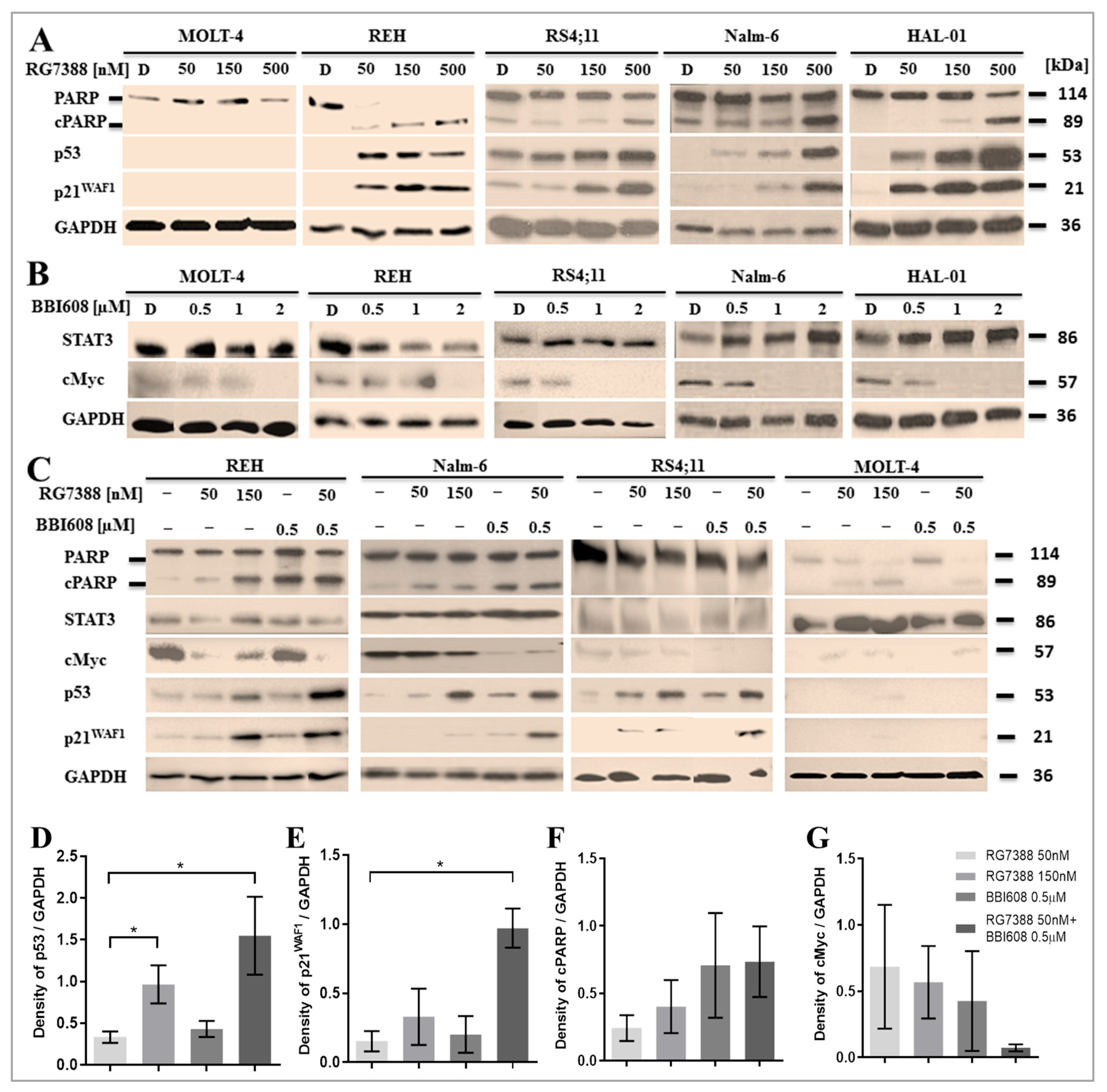 Ijms 26 08648 g003 Ijms 26 08648 g003