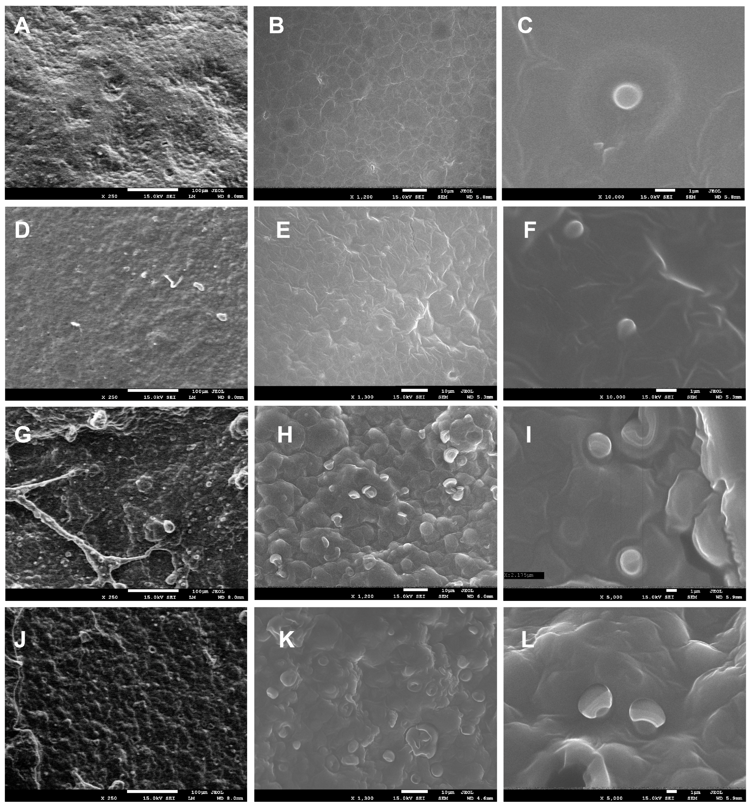 Ijms 26 08664 g001 Ijms 26 08664 g001