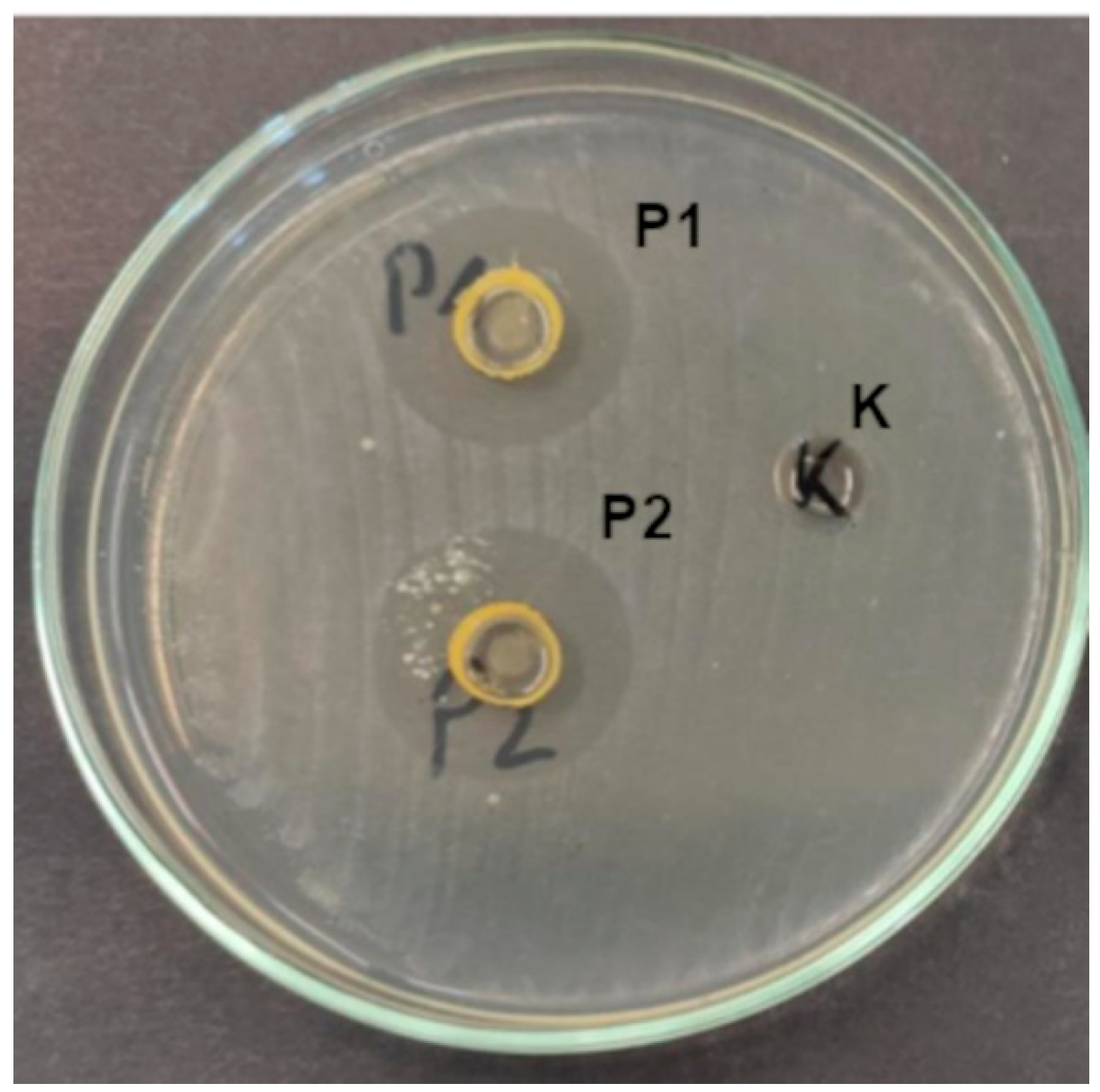 Ijms 26 08664 g005 Ijms 26 08664 g005