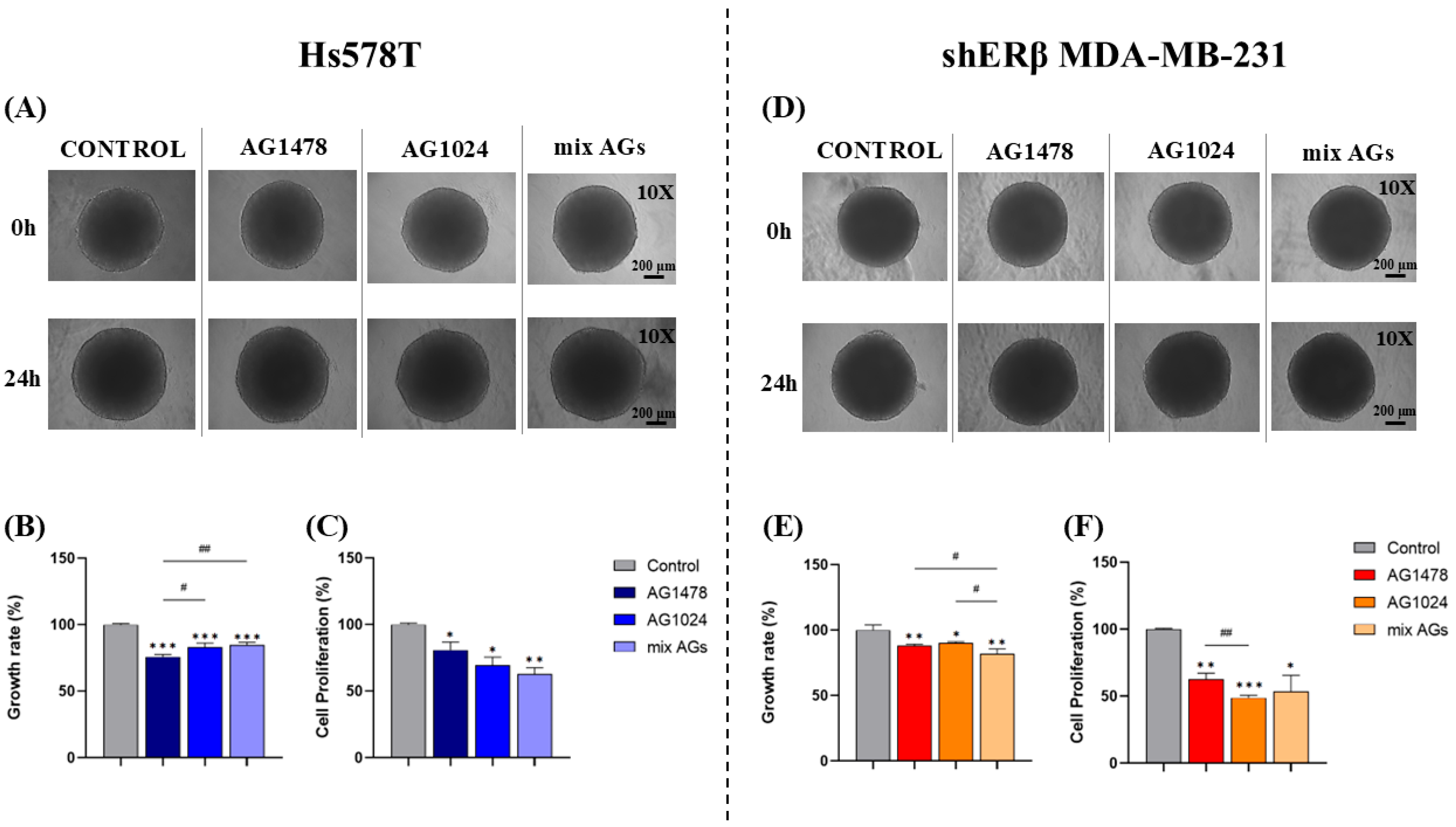 Ijms 26 08665 g002 Ijms 26 08665 g002