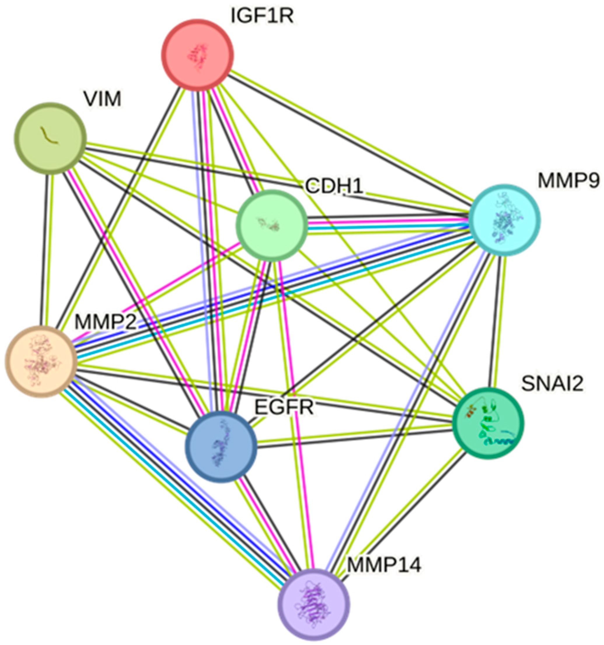 Ijms 26 08665 g005 Ijms 26 08665 g005
