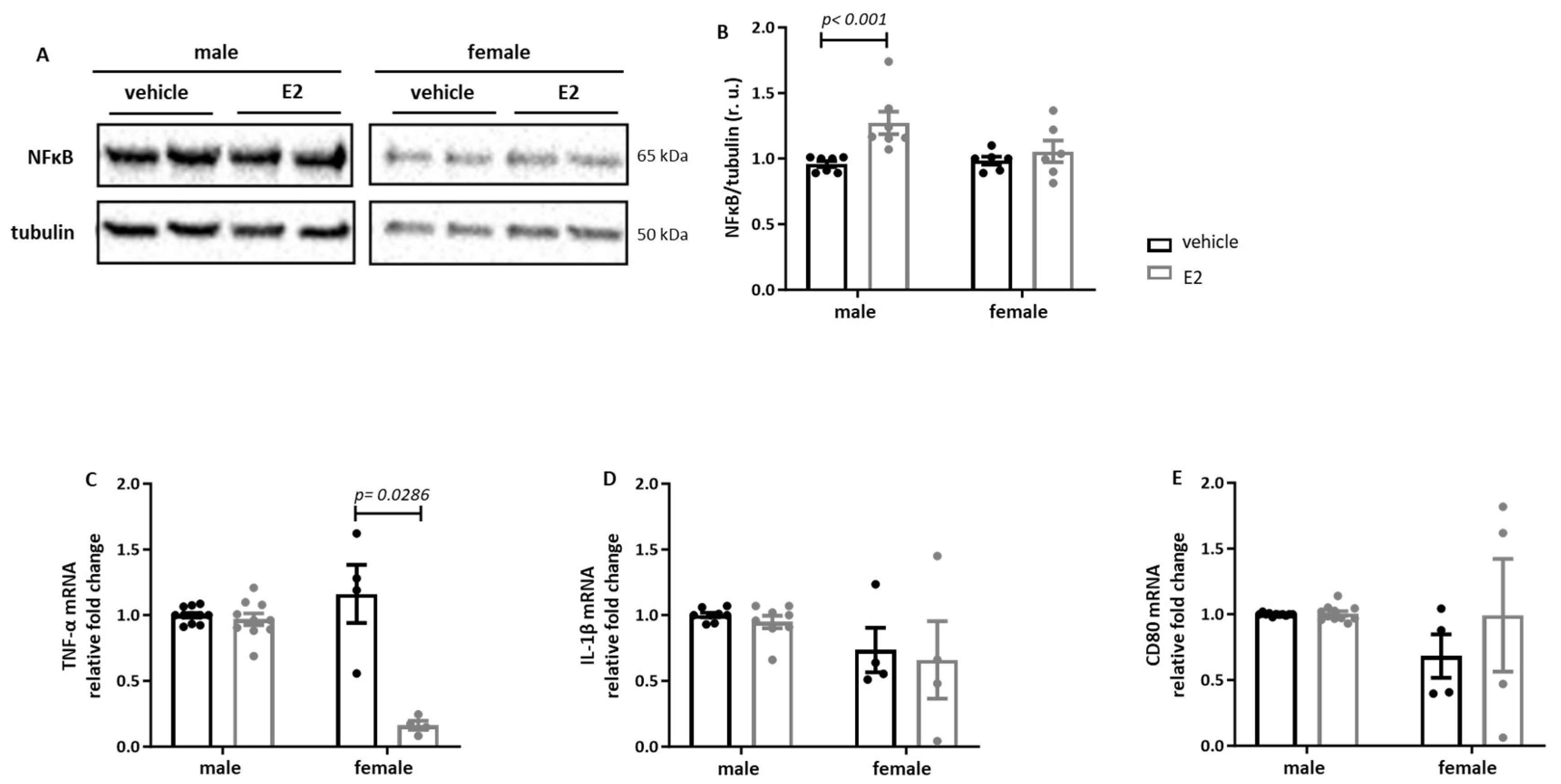 Ijms 26 08670 g002 Ijms 26 08670 g002