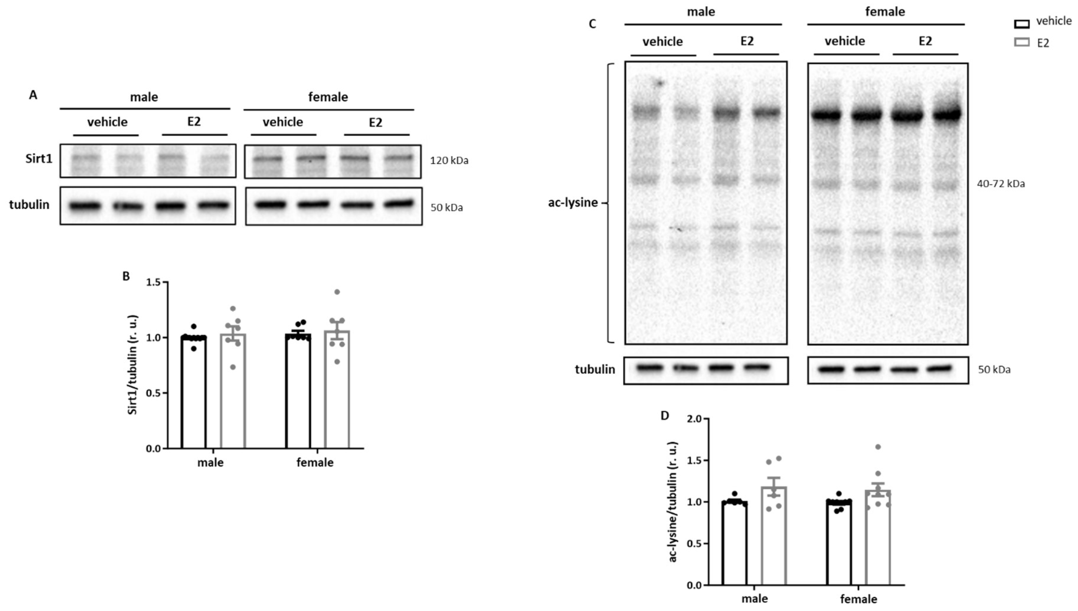 Ijms 26 08670 g003a Ijms 26 08670 g003a