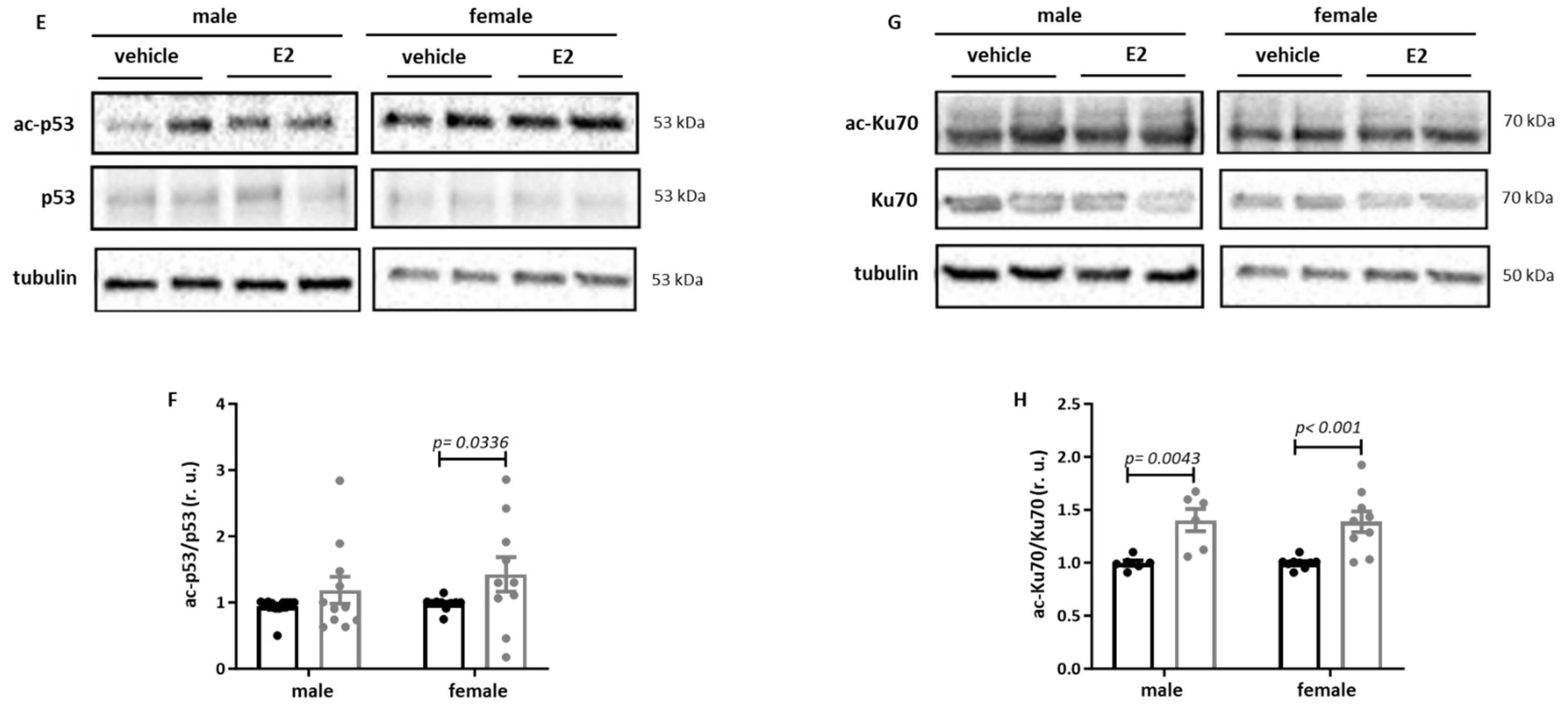 Ijms 26 08670 g003b Ijms 26 08670 g003b