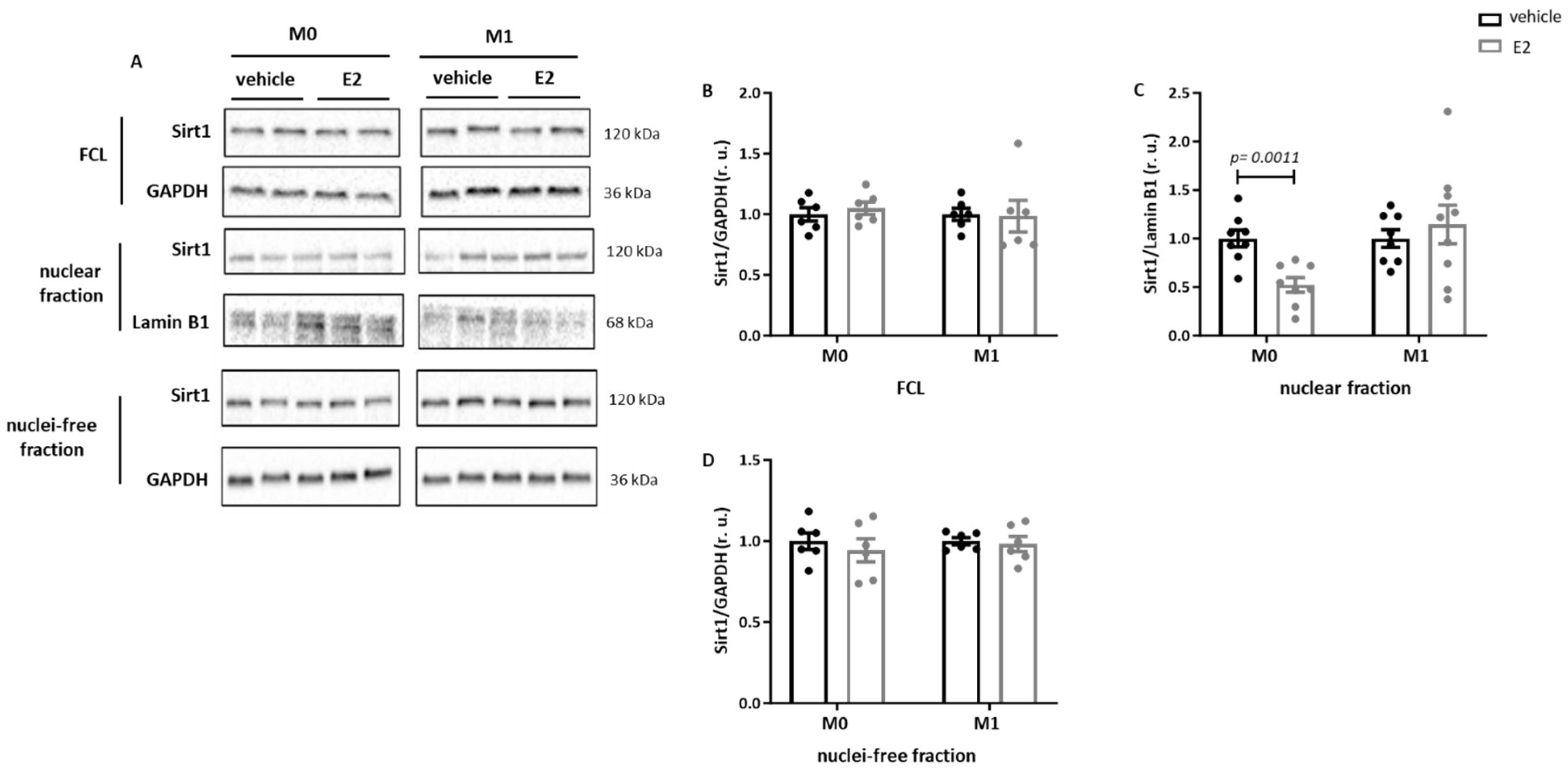 Ijms 26 08670 g004a Ijms 26 08670 g004a